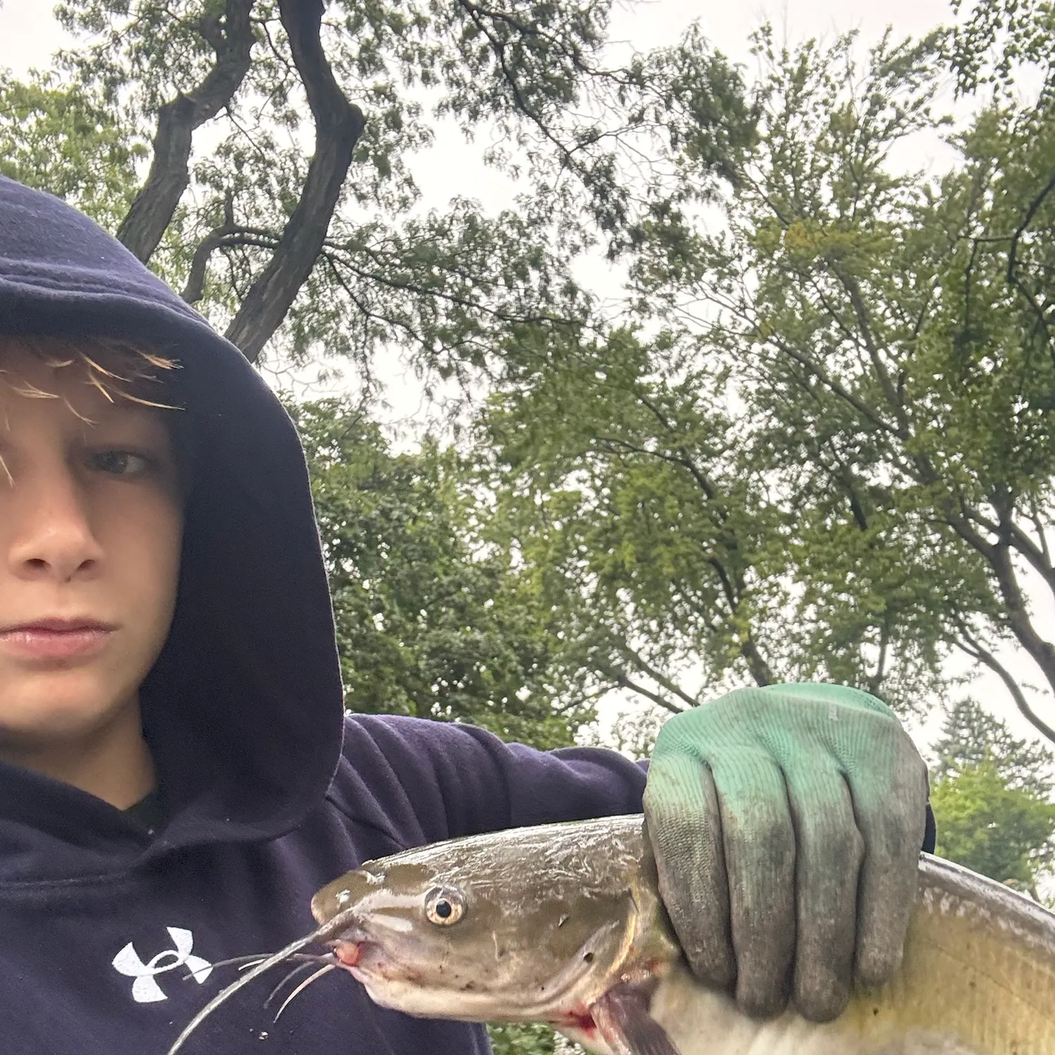 Channel catfish caught on Fishbrain