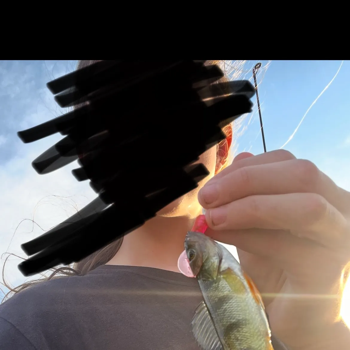 The most recent Atlantic blue marlin catches on Fishbrain