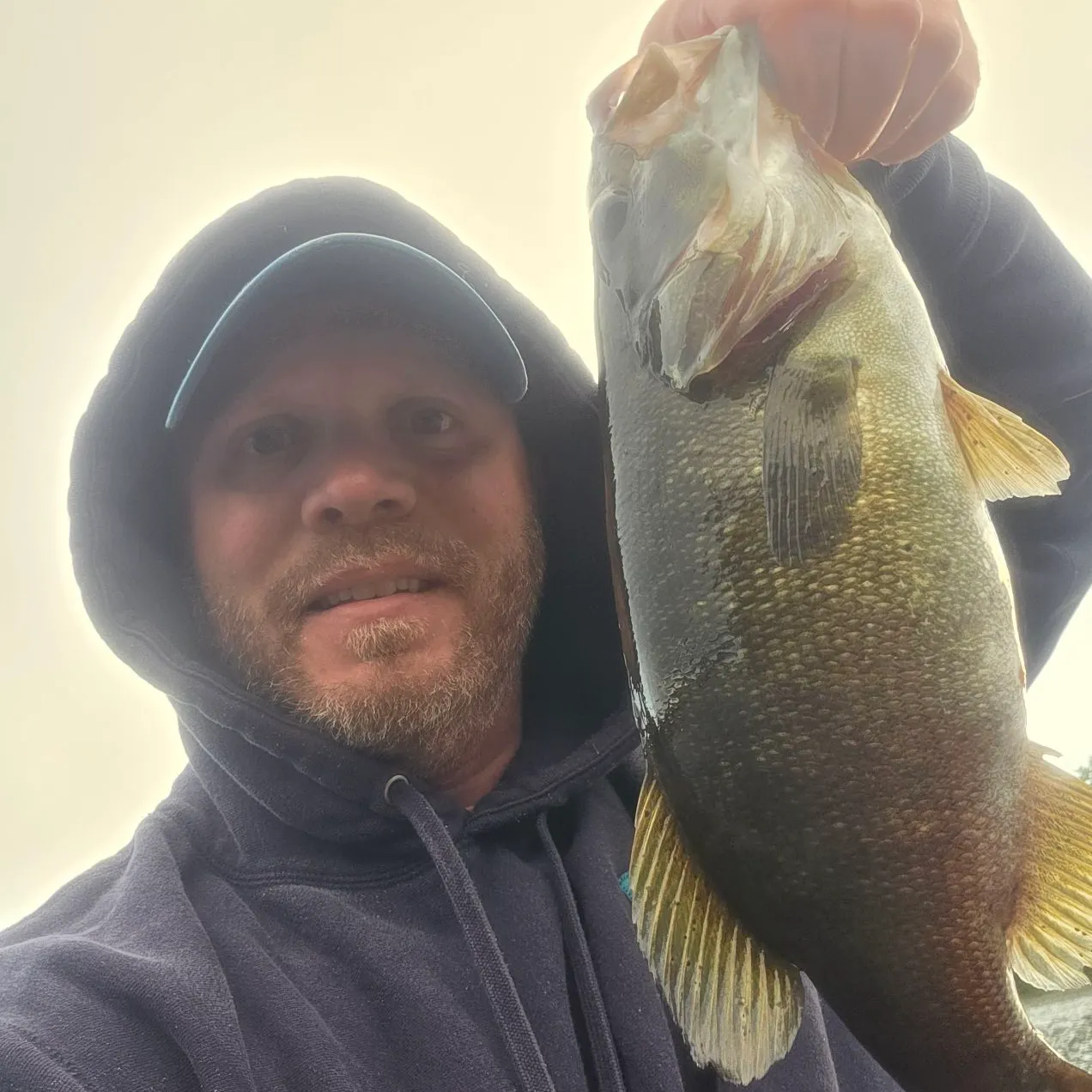 Smallmouth bass caught on Fishbrain