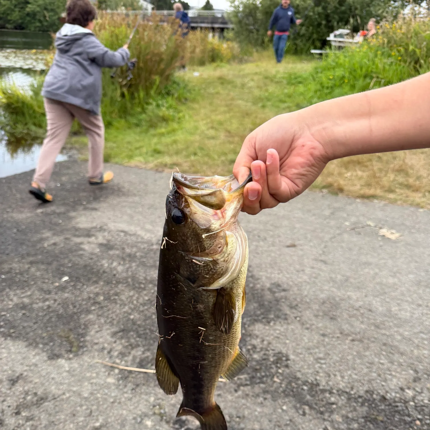 catch
