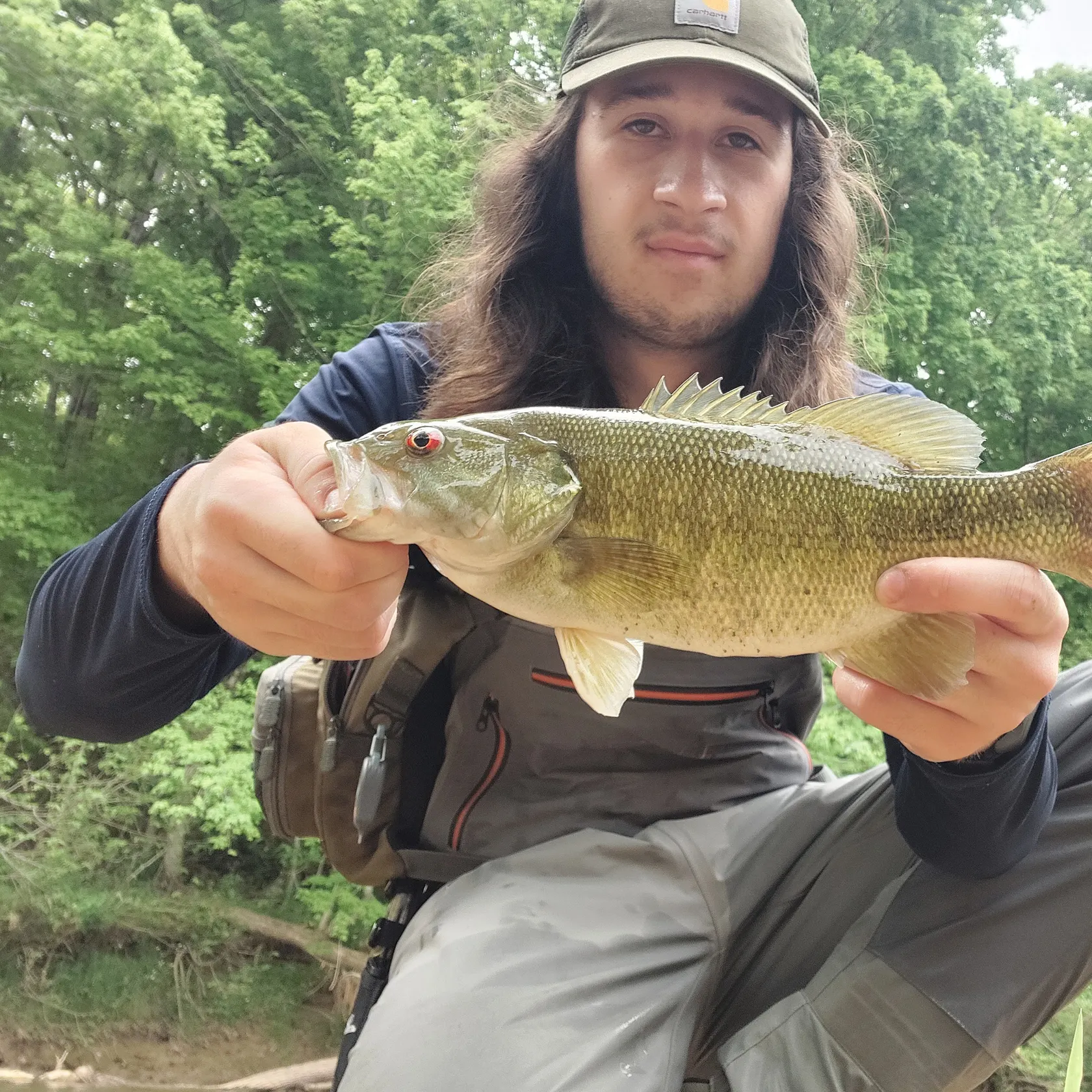 most liked catch image