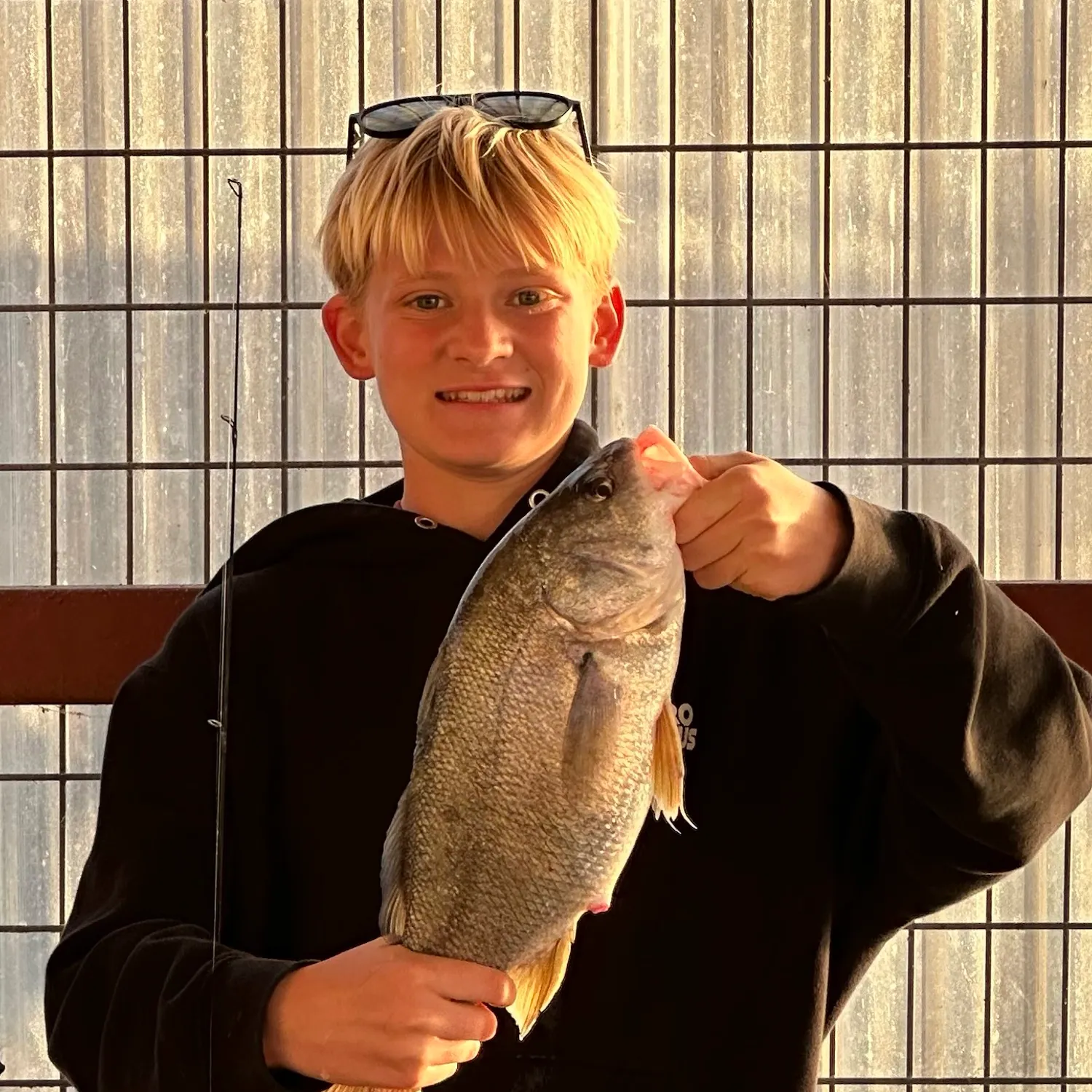 Freshwater drum caught on Fishbrain