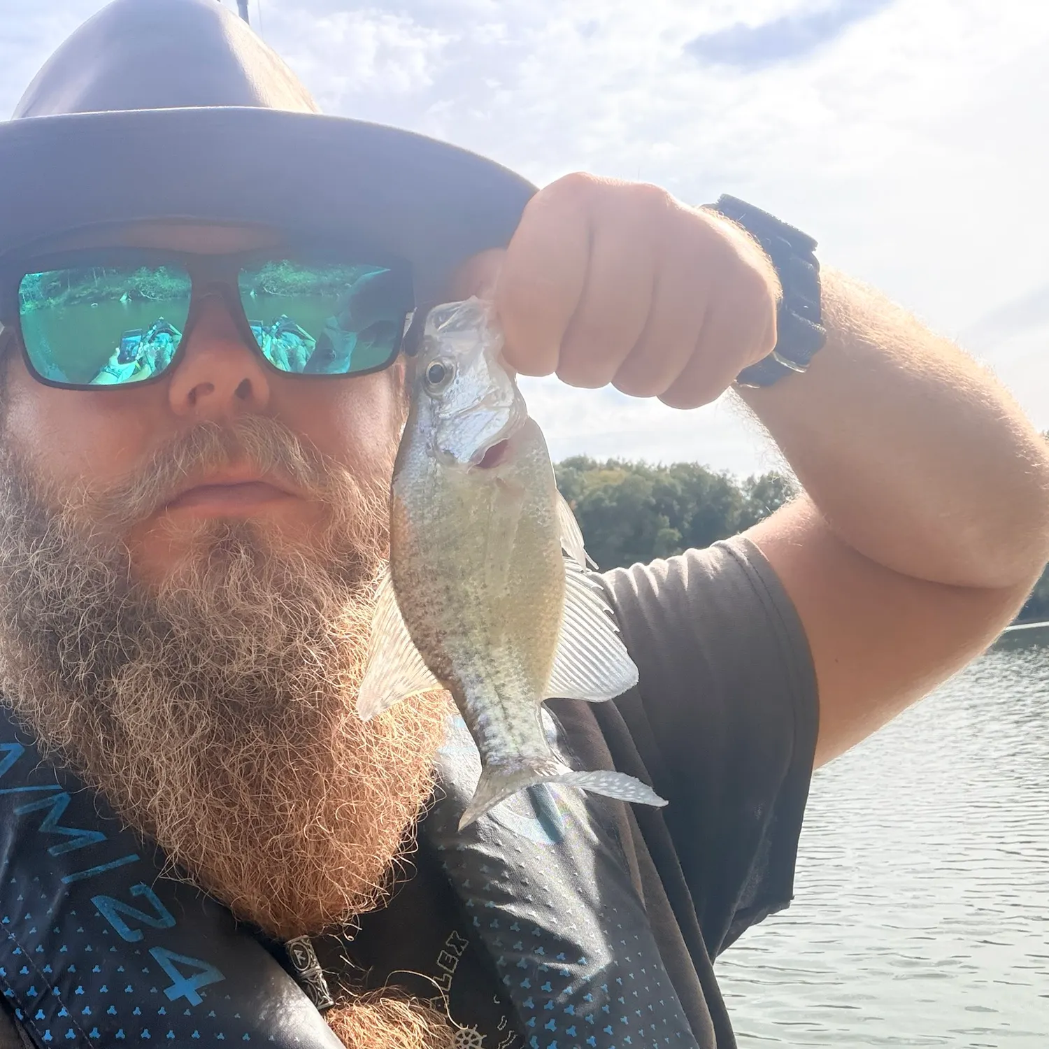 White crappie caught on Fishbrain