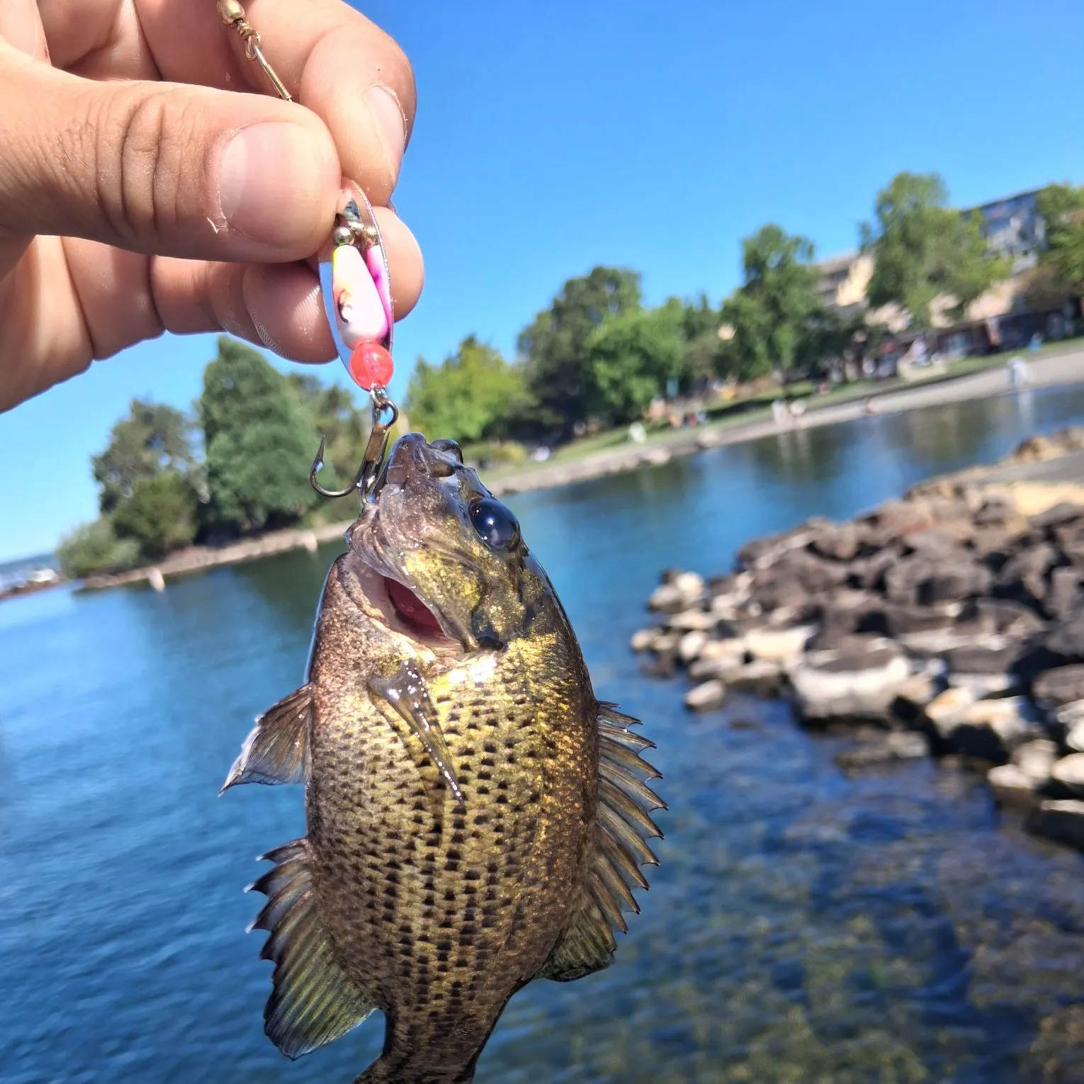 catch