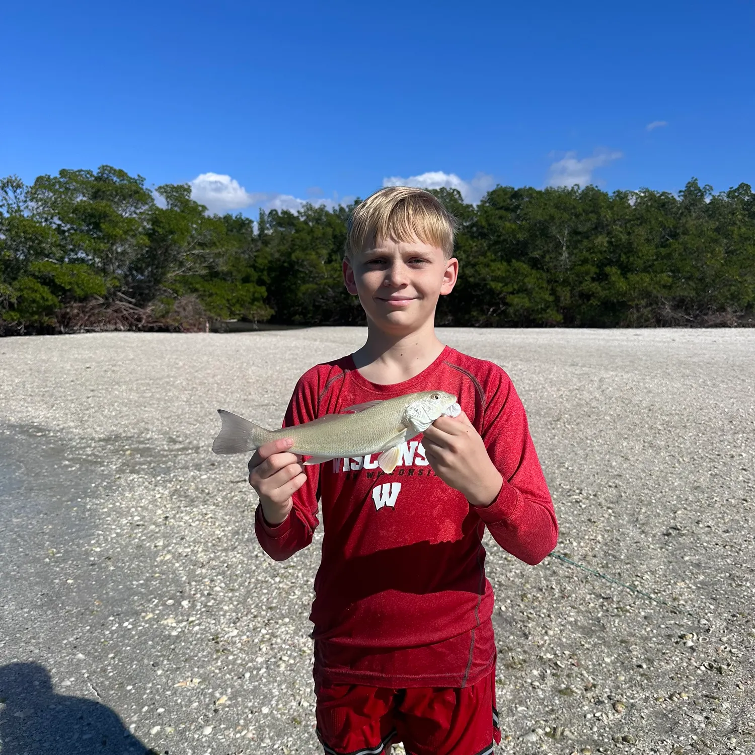 The most recent Striped mullet catches on Fishbrain