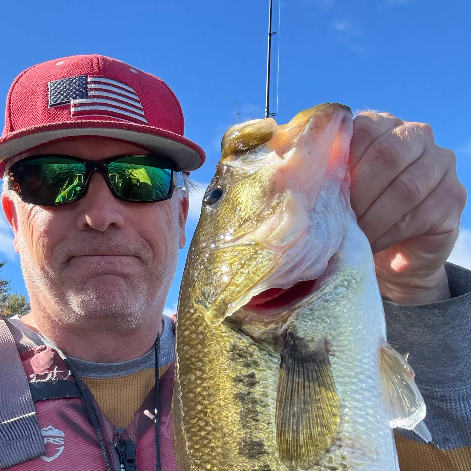 Largemouth bass caught on Fishbrain