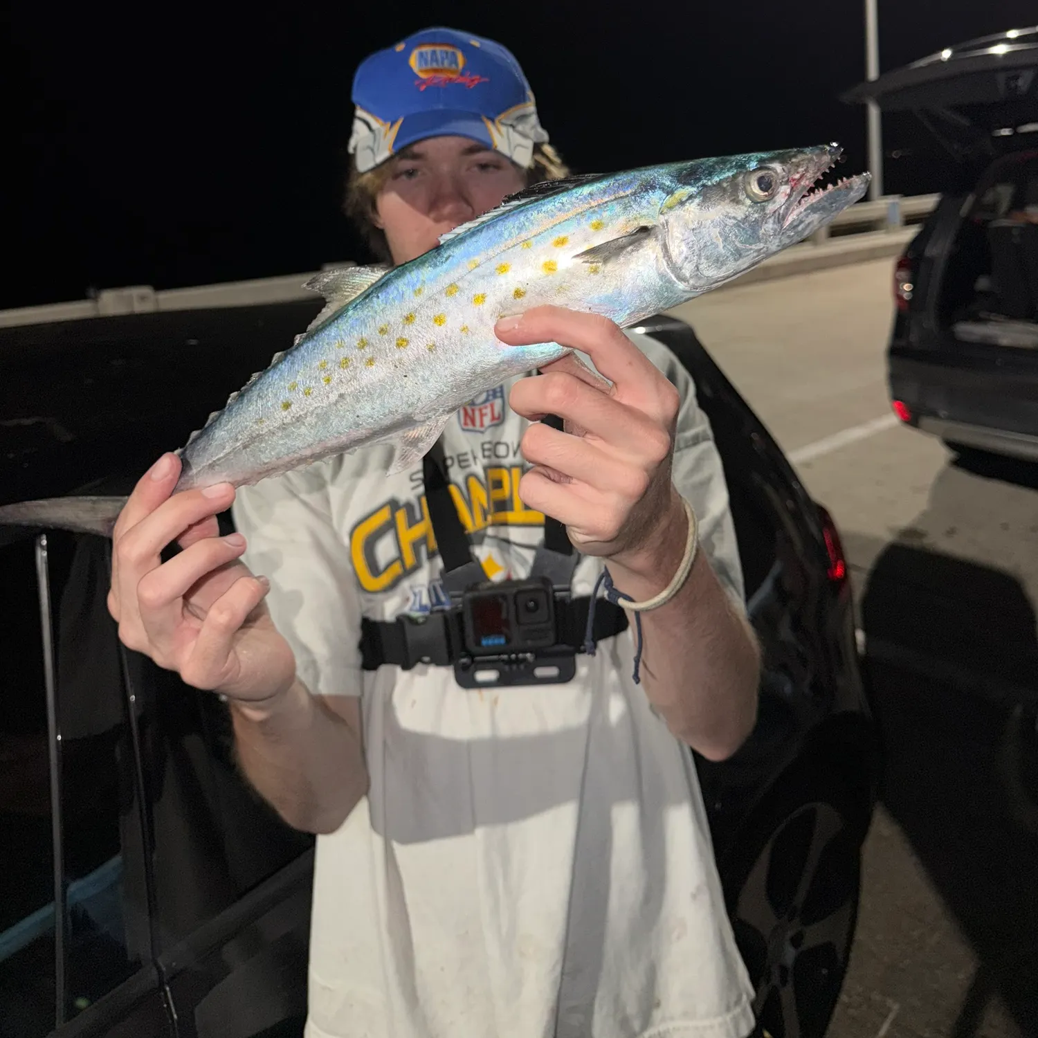 The most recent Spanish mackerel catches on Fishbrain