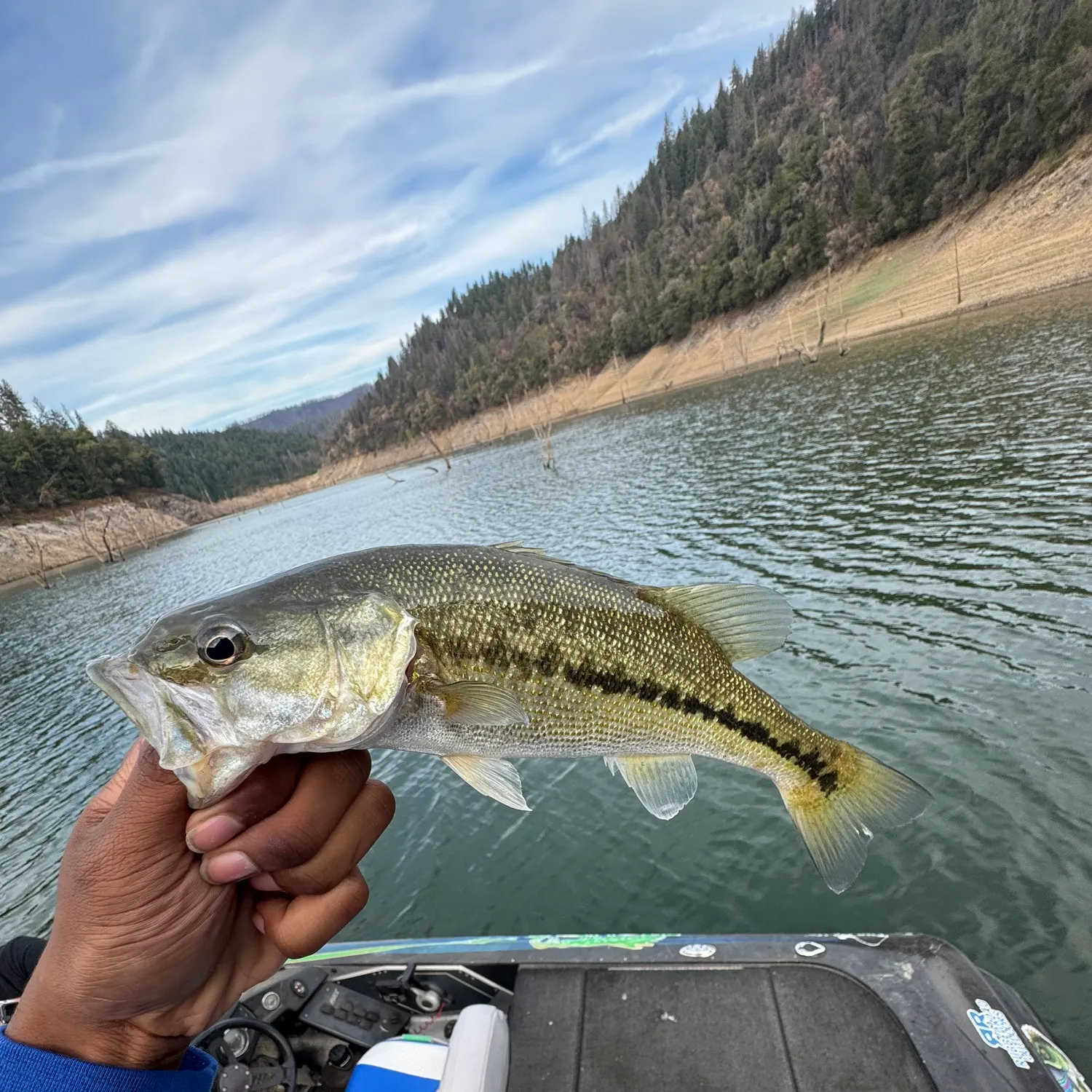 Spotted bass caught on Fishbrain