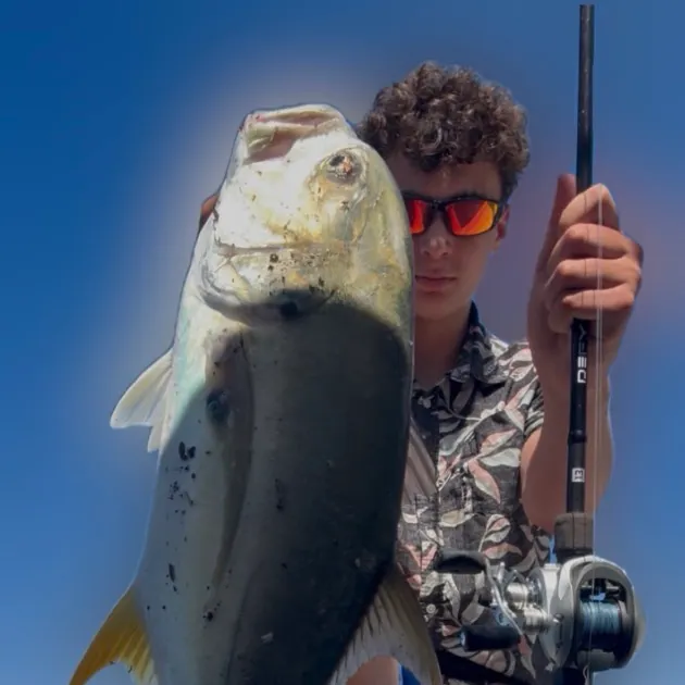 The most recent Crevalle jack catches on Fishbrain