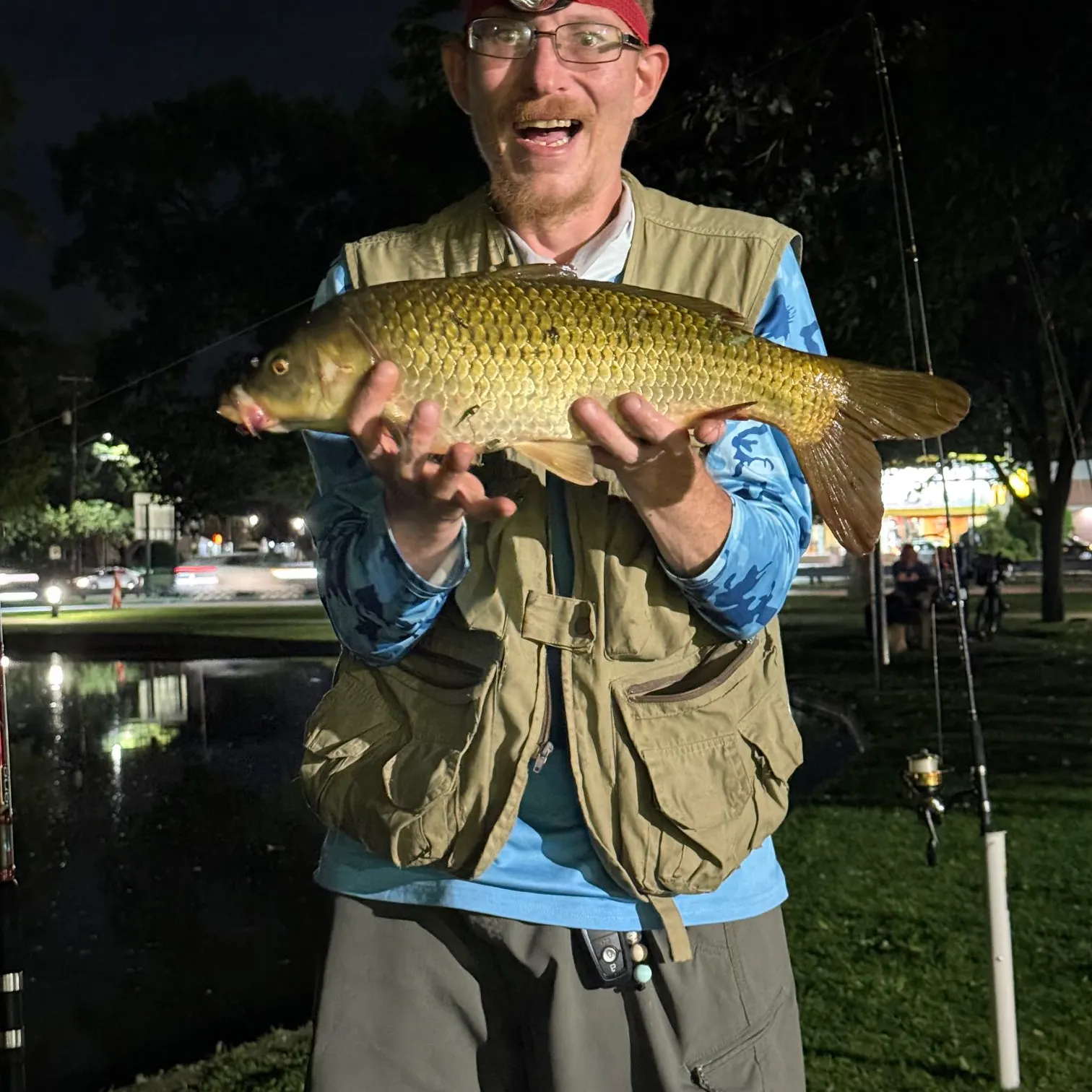 Common carp caught on Fishbrain