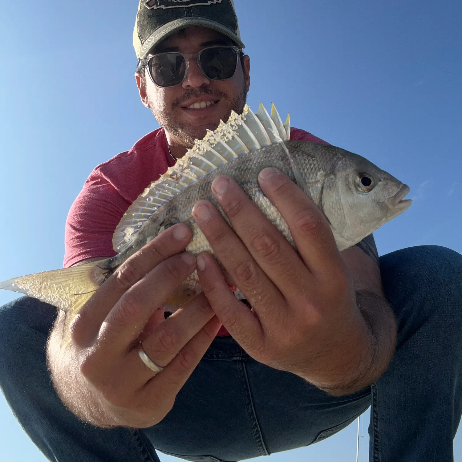 The most recent Scup catches on Fishbrain