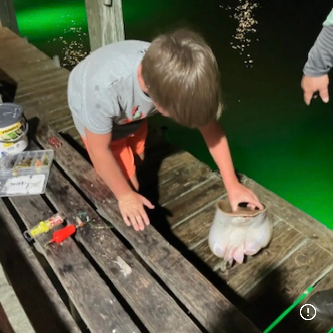 The most recent Common stingaree catches on Fishbrain