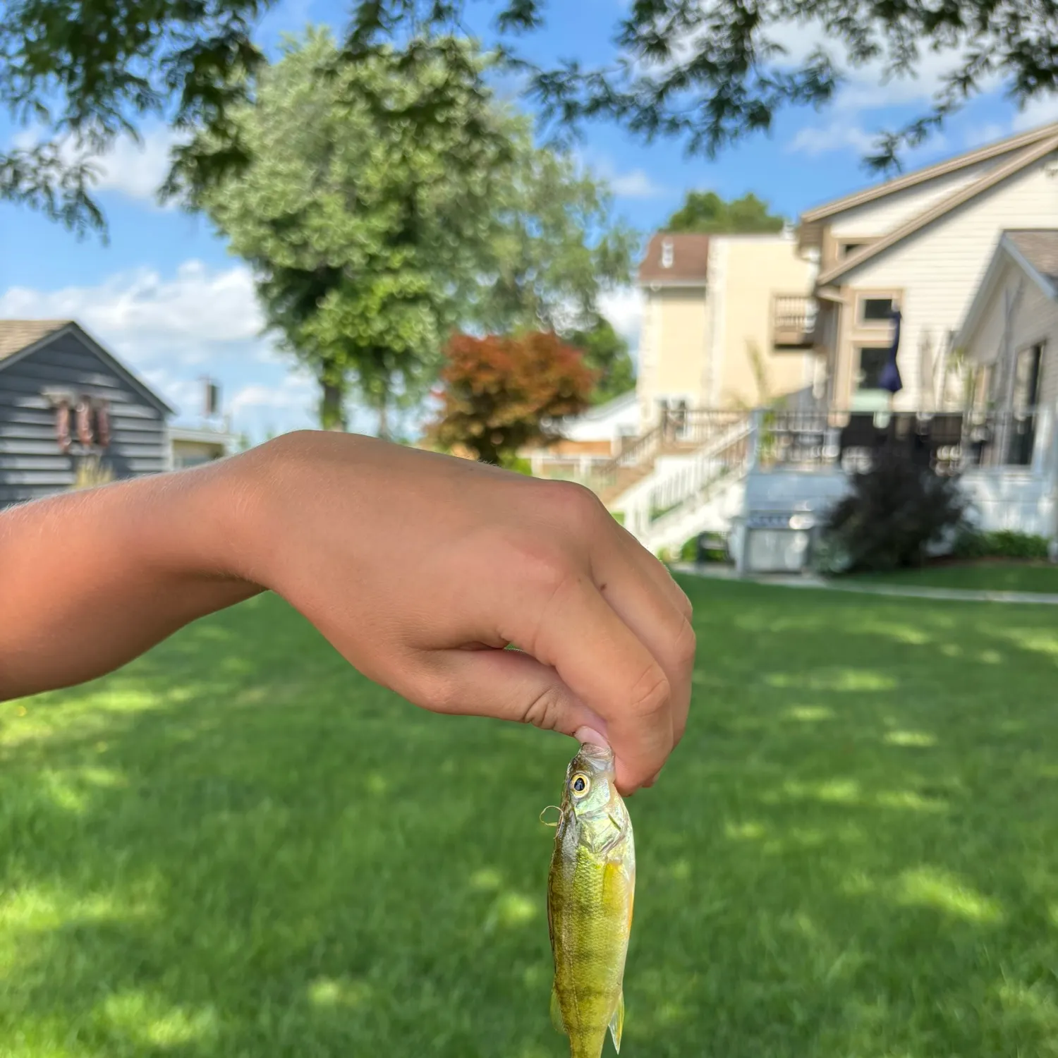 catch