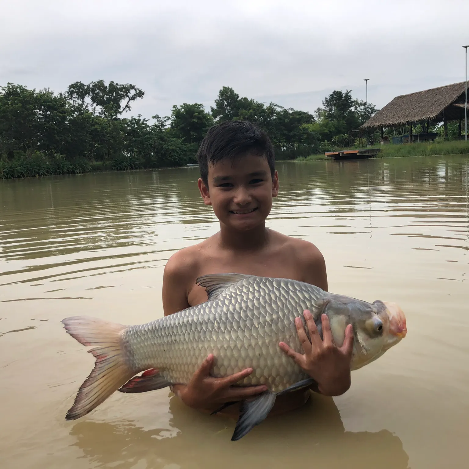 The most popular recent Siamese carp catch on Fishbrain