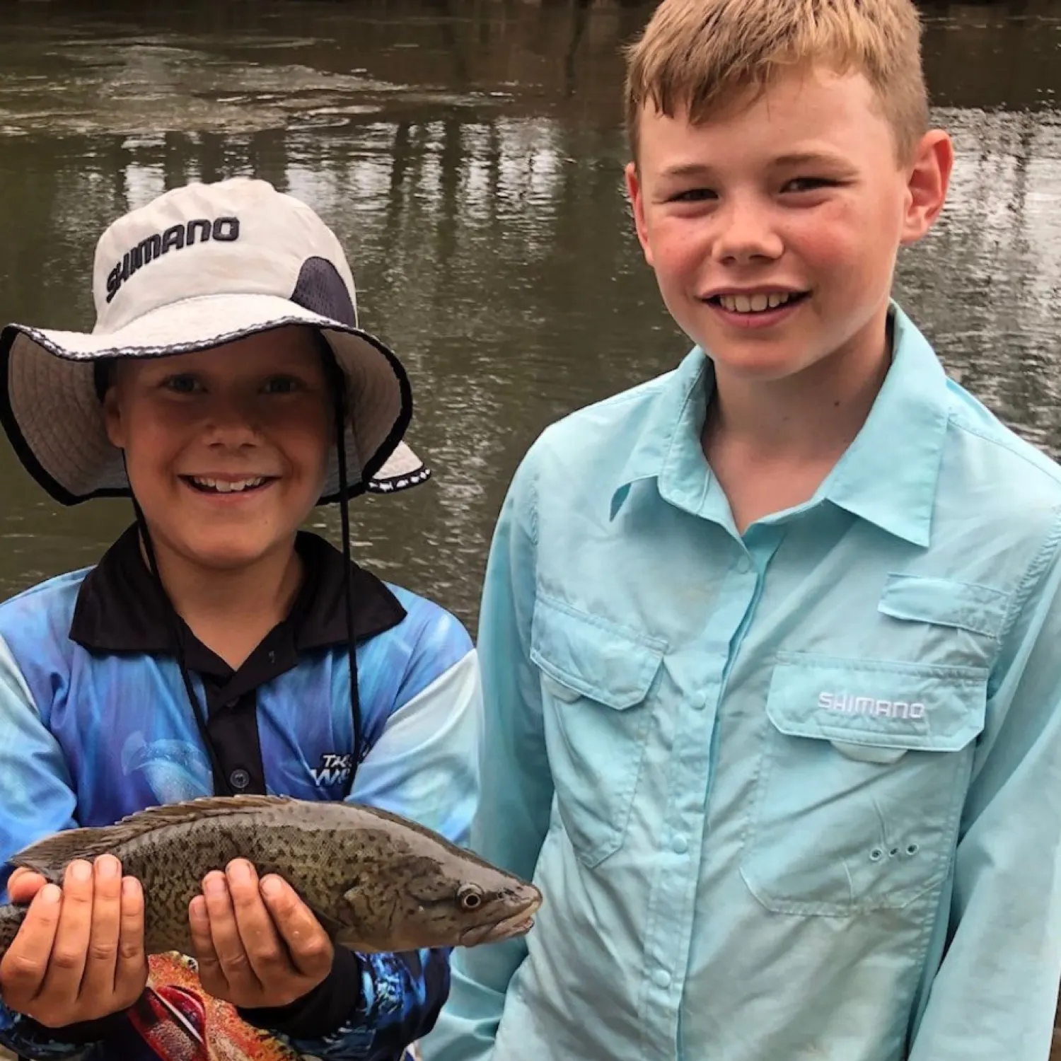 The most recent Trout cod catches on Fishbrain