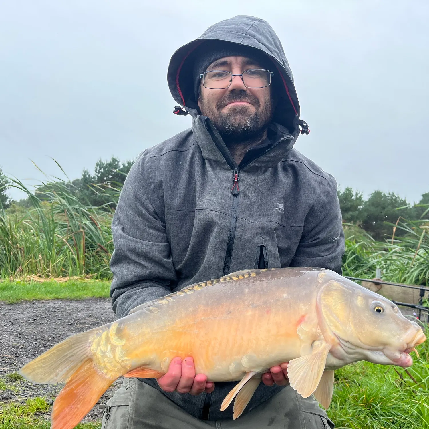 Mirror carp caught on Fishbrain