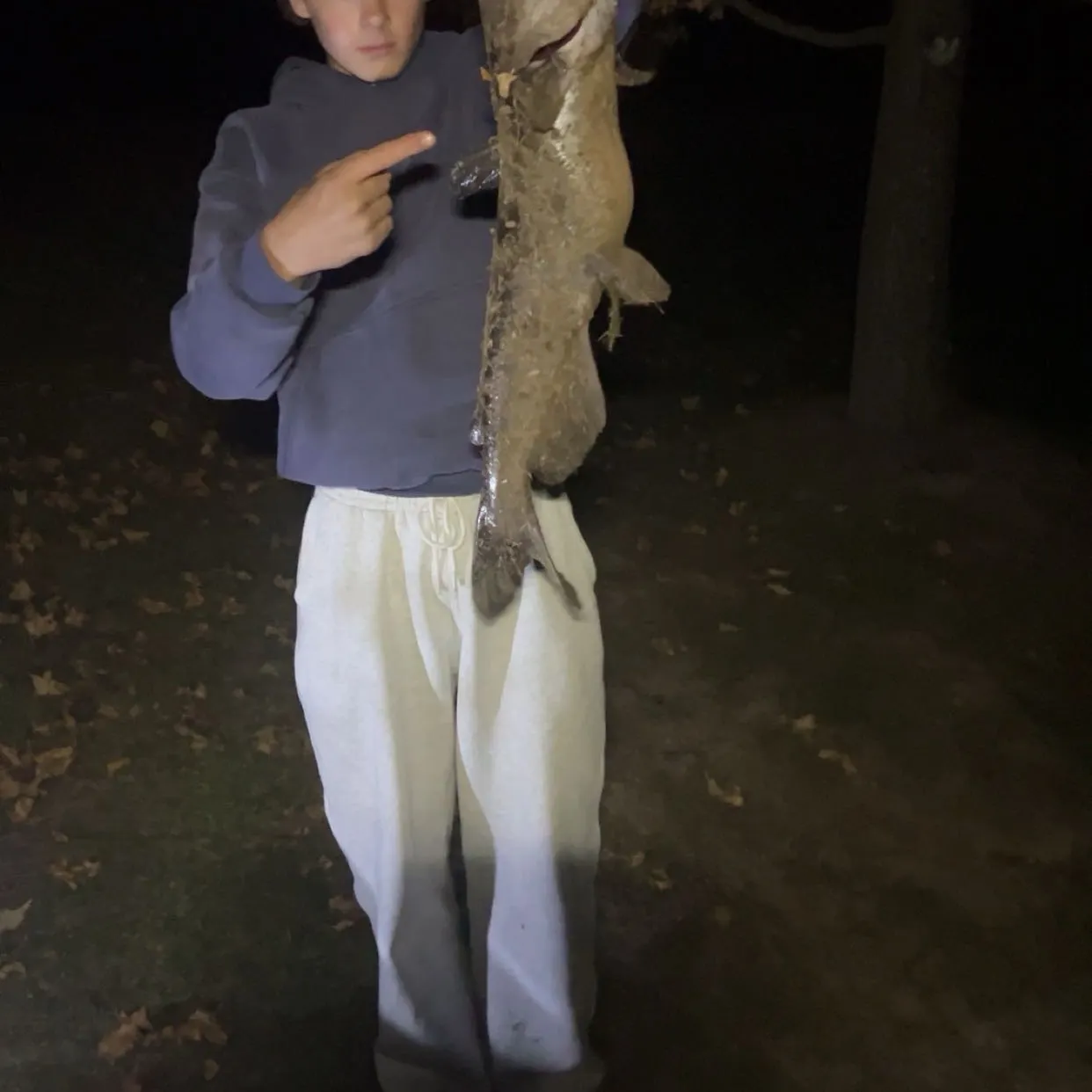 Channel catfish caught on Fishbrain