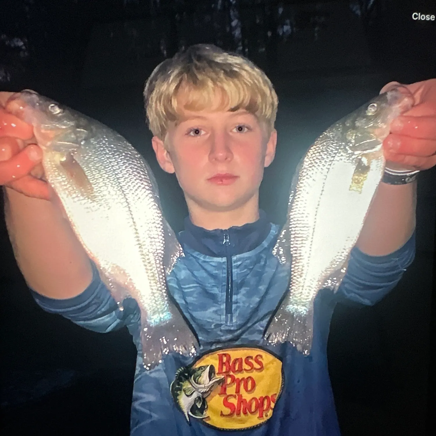 White perch caught on Fishbrain