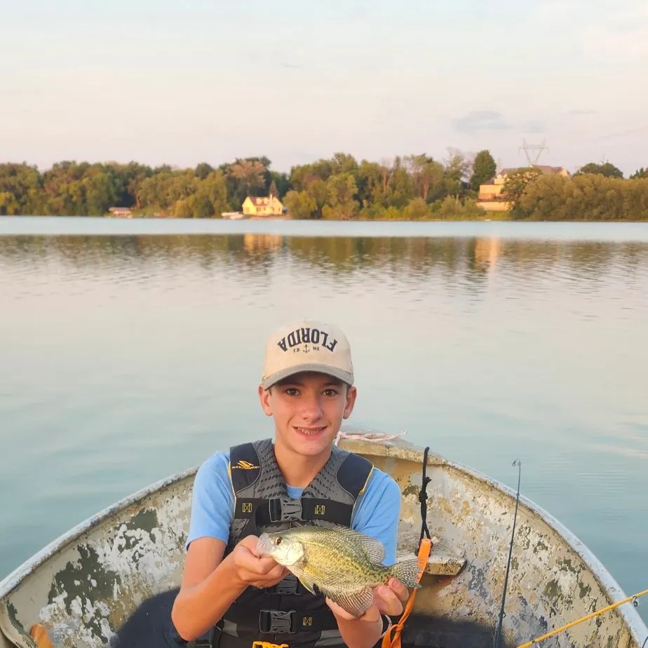 Black crappie caught on Fishbrain