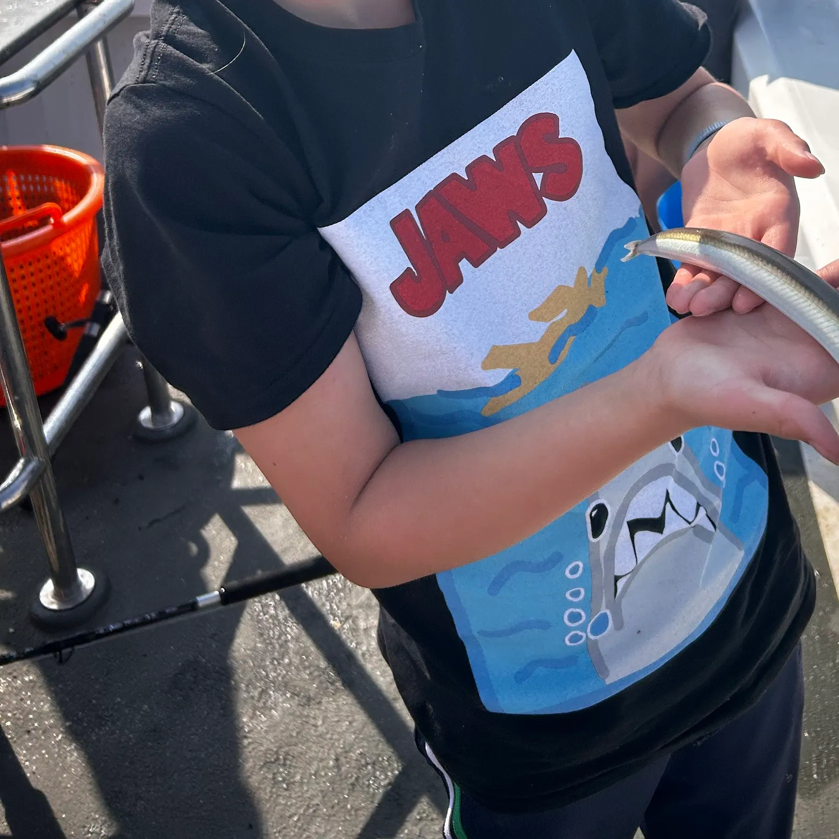 The most recent Great sandeel catches on Fishbrain