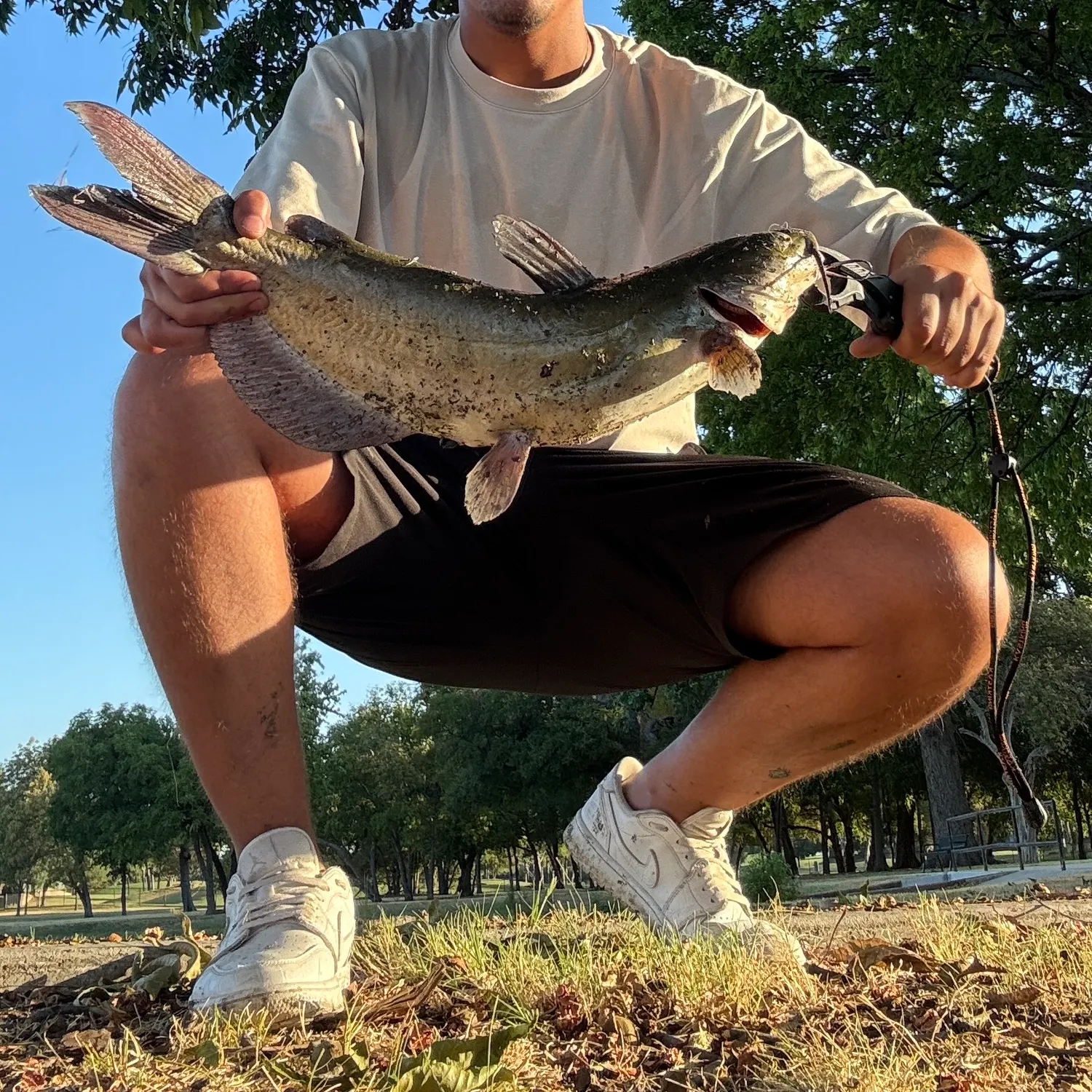 Channel catfish caught on Fishbrain