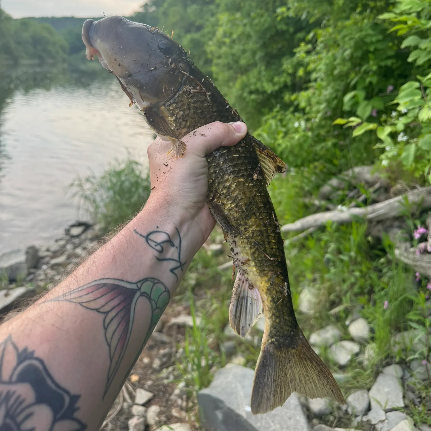 catch