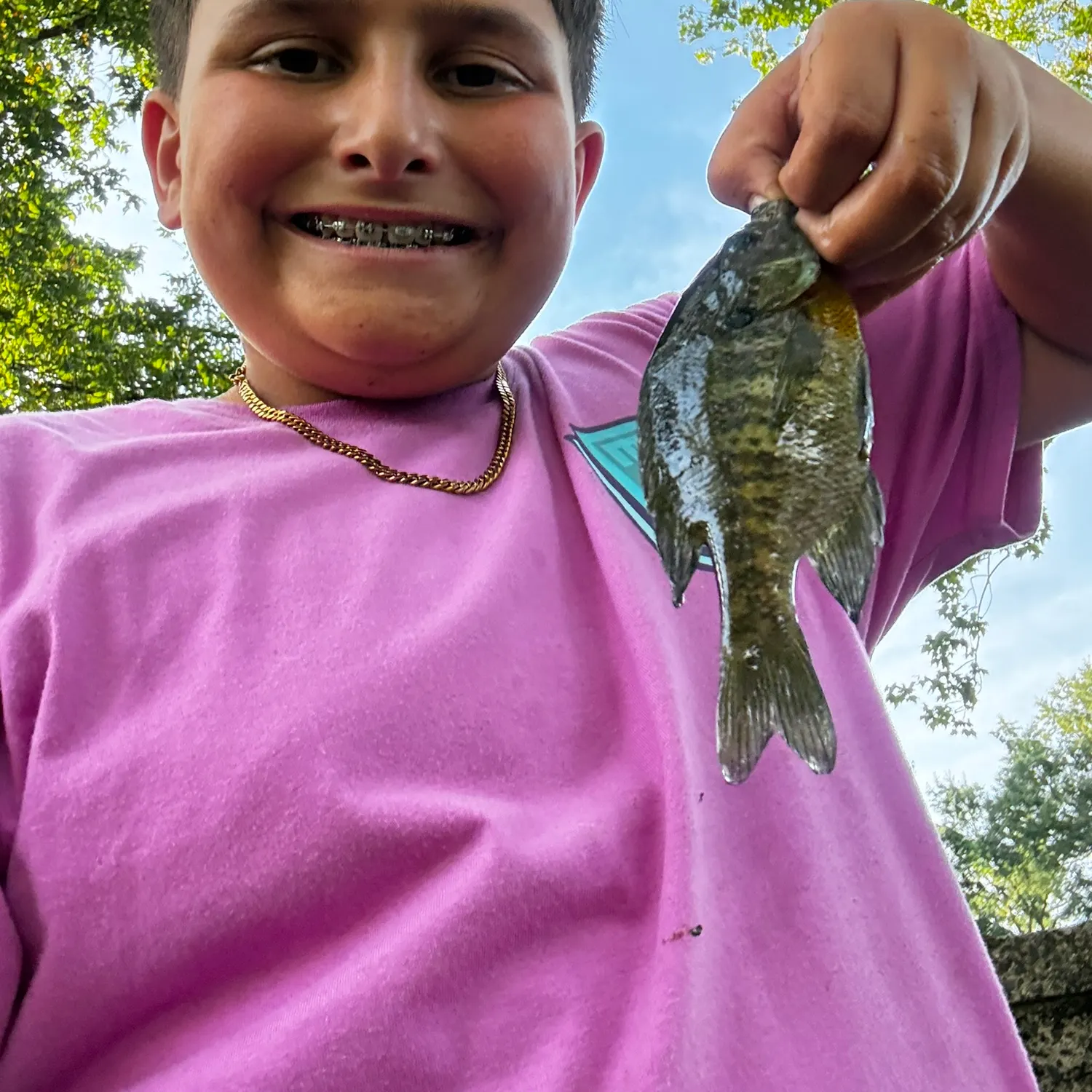 Bluegill caught on Fishbrain
