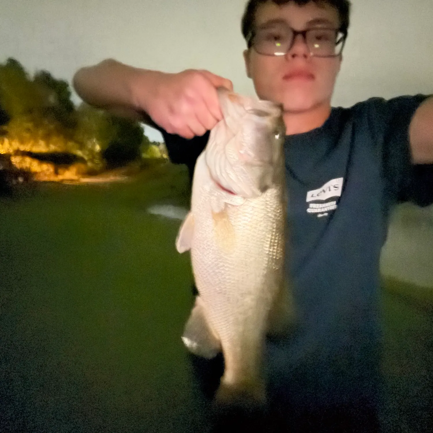 Largemouth bass caught on Fishbrain