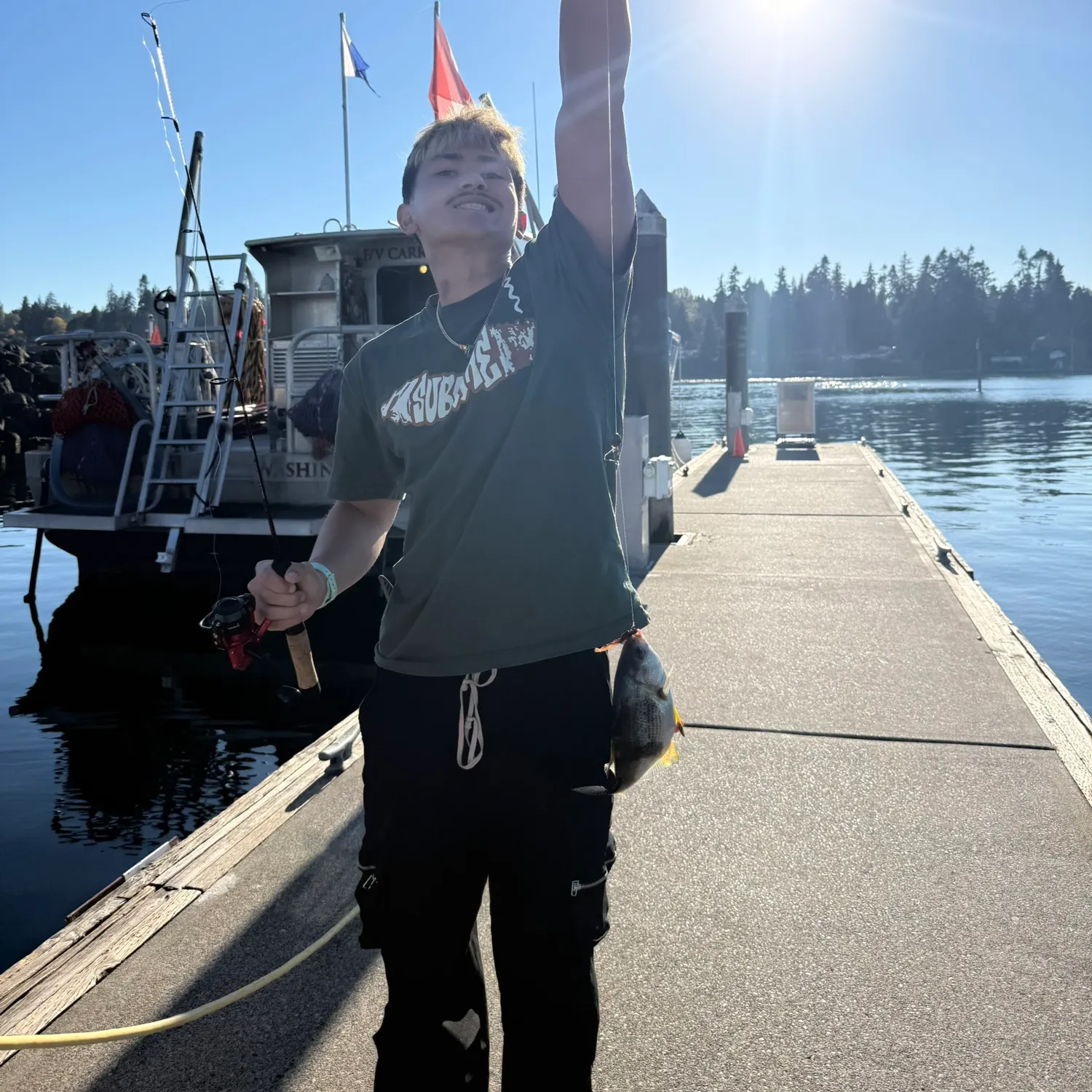 The most recent Pile perch catches on Fishbrain