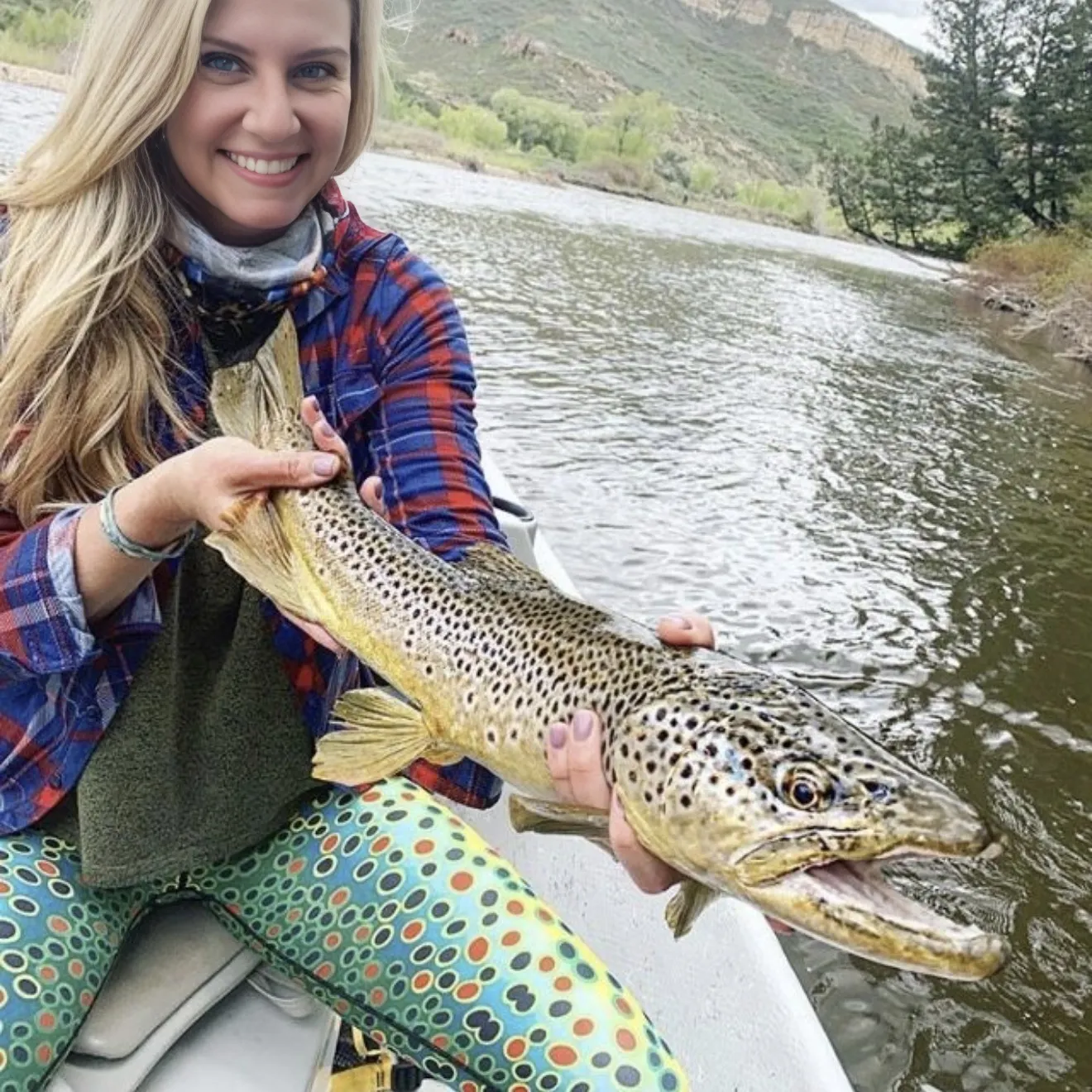 The most recent Lake trout catches on Fishbrain