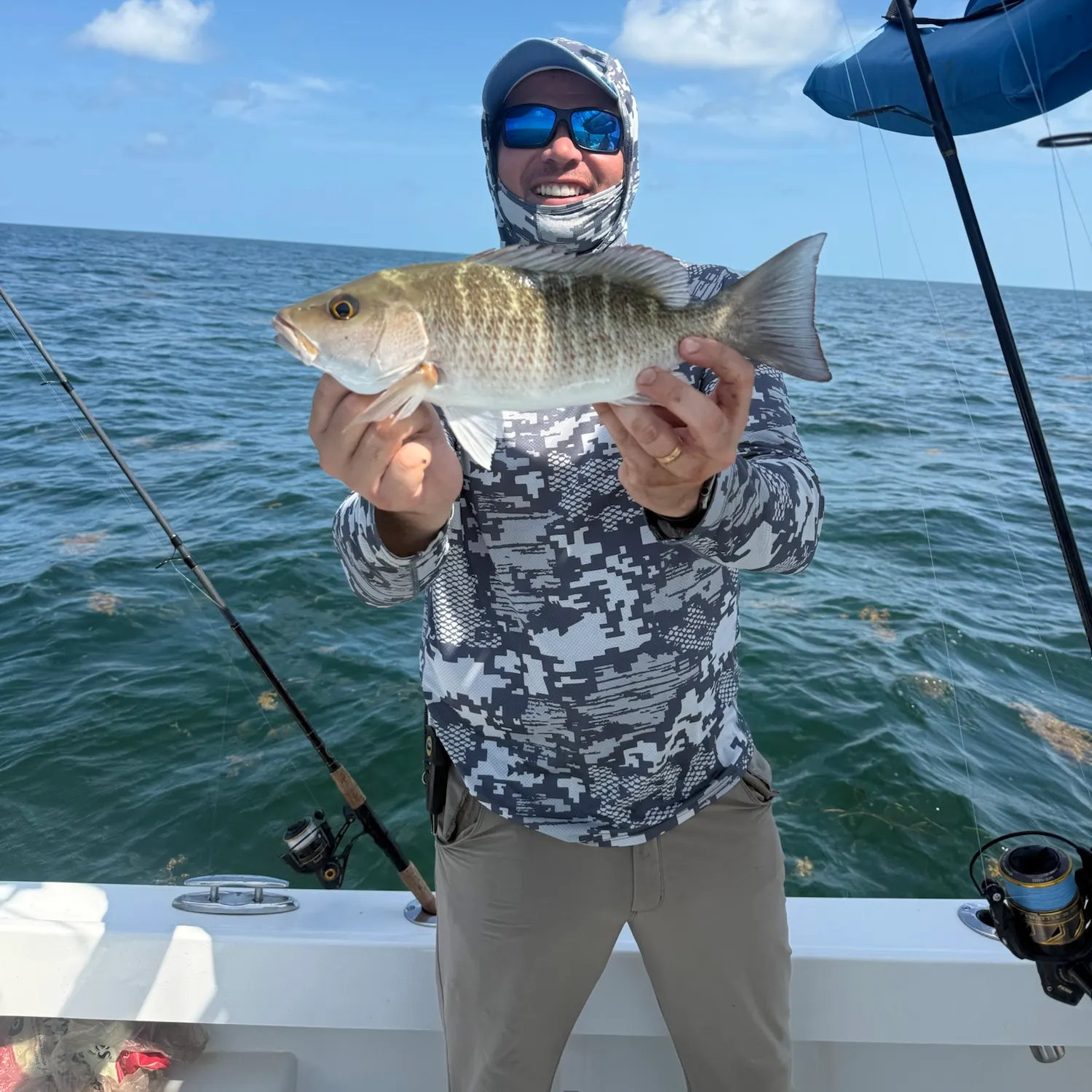 The most recent Mangrove snapper catches on Fishbrain
