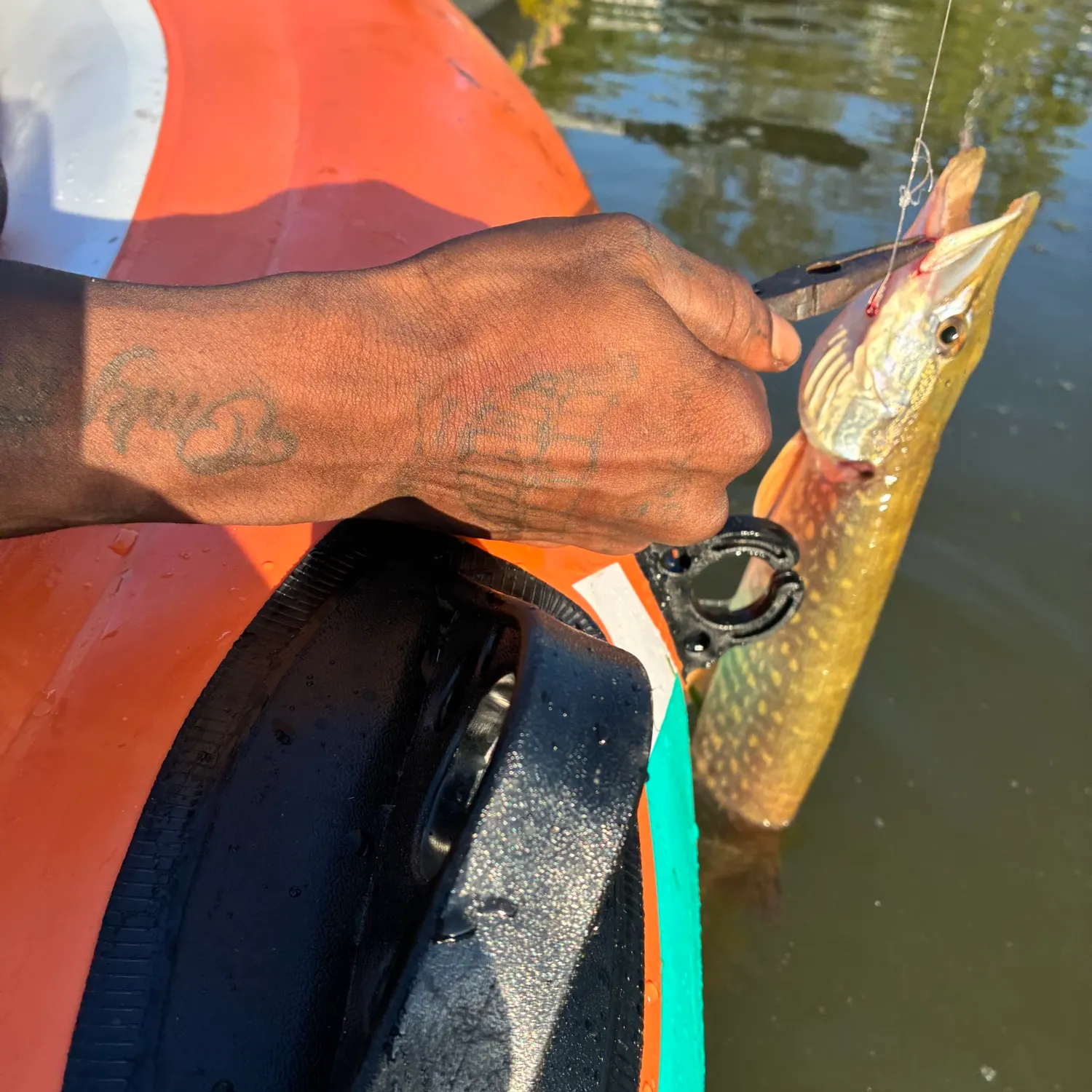 catch