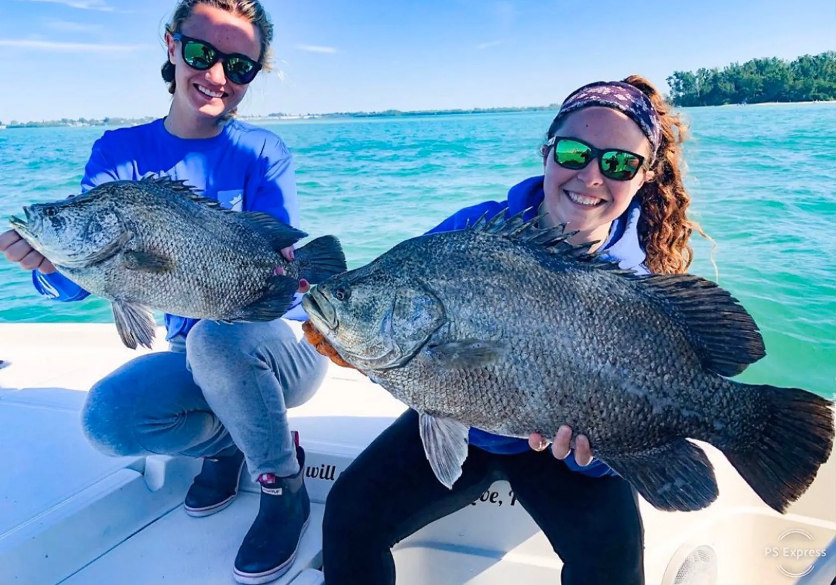 Atlantic tripletail