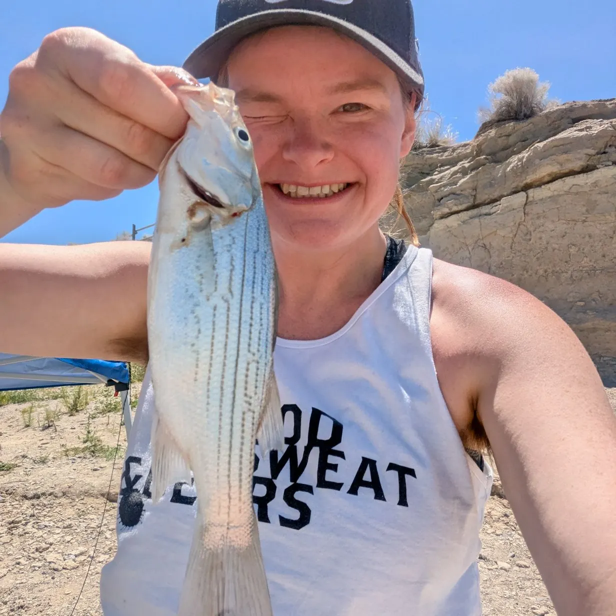 angler catch