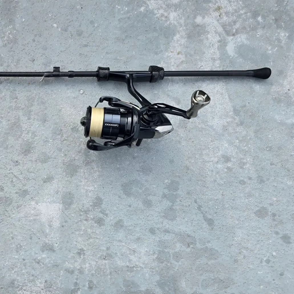 The most recent Japanese jack mackerel catches on Fishbrain