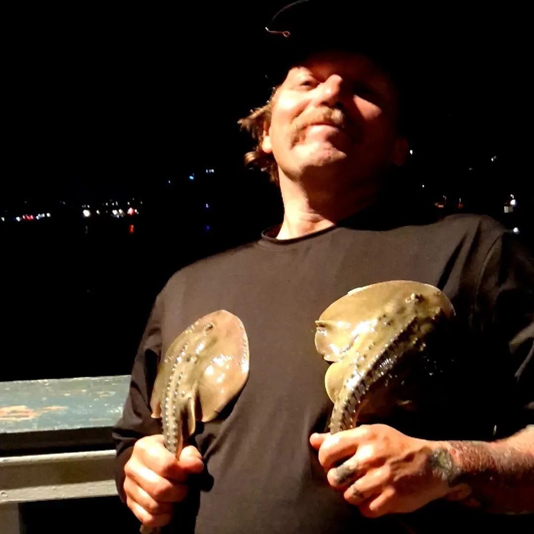 The most recent Thornback guitarfish catches on Fishbrain