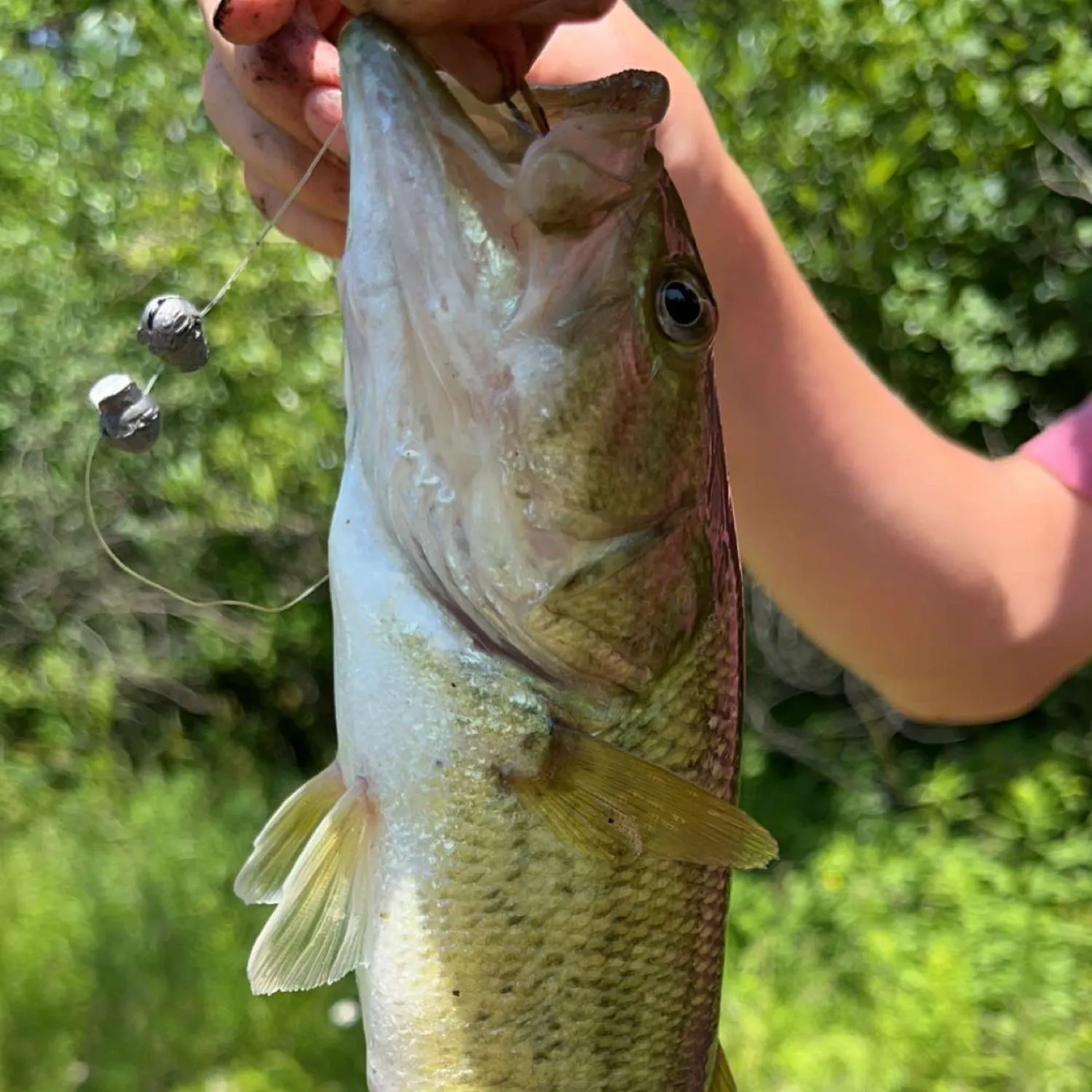 ᐅ Harbert Community Park fishing reports🎣• Shorewood-Tower Hills ...