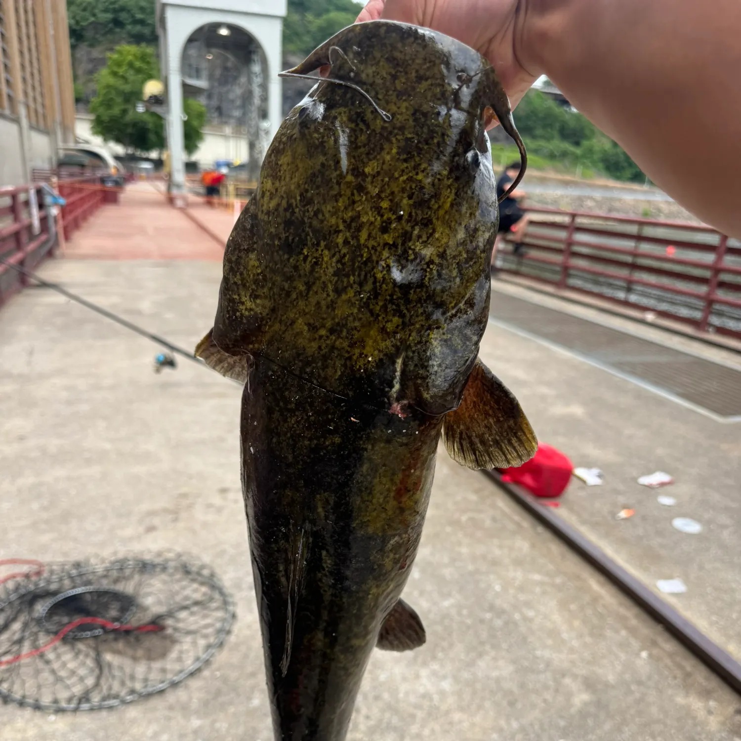 catch