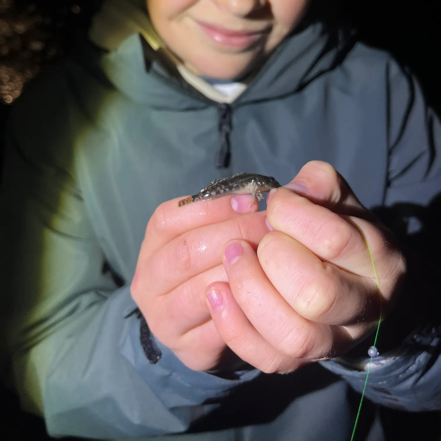 The most recent European bullhead catches on Fishbrain