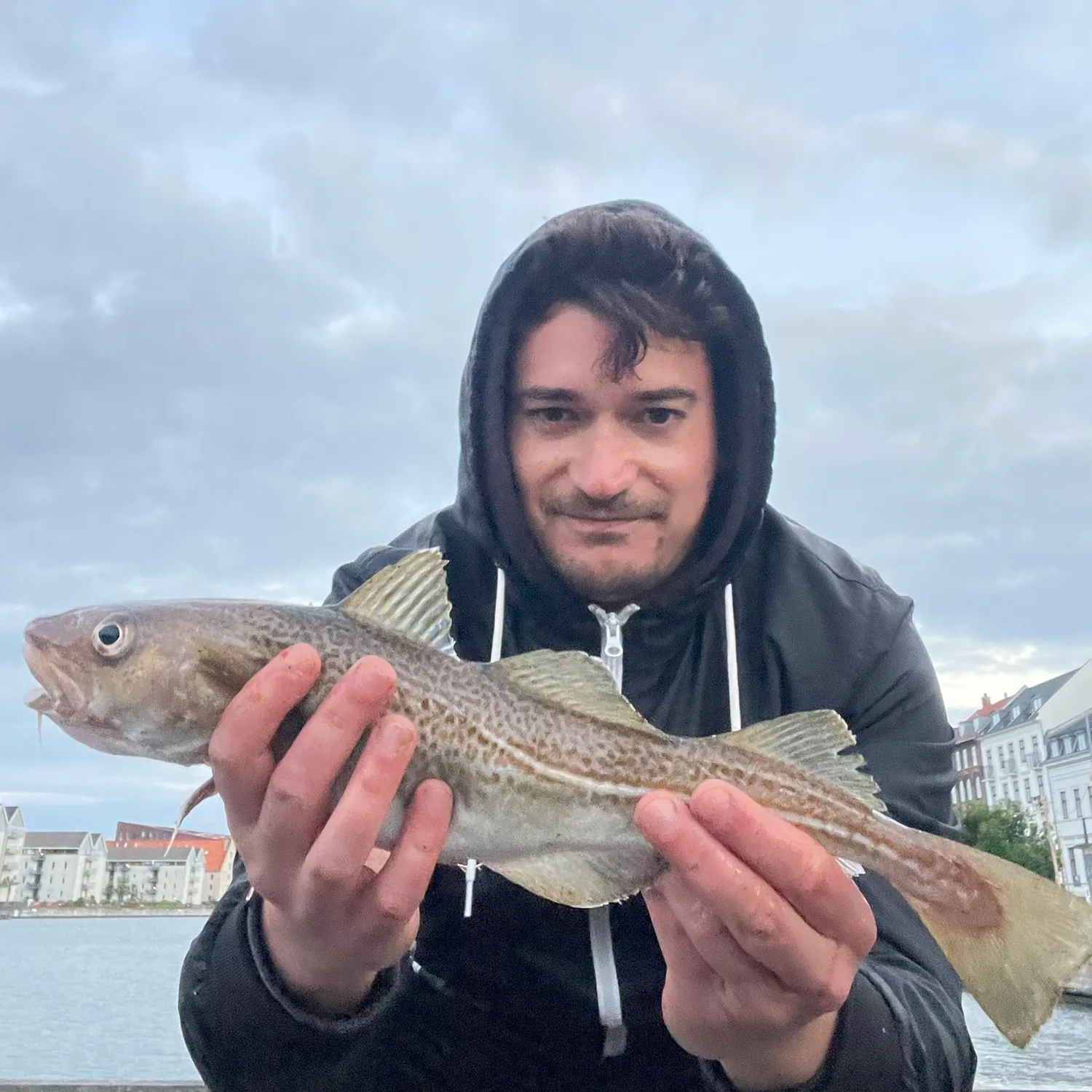 The most recent Atlantic cod catches on Fishbrain