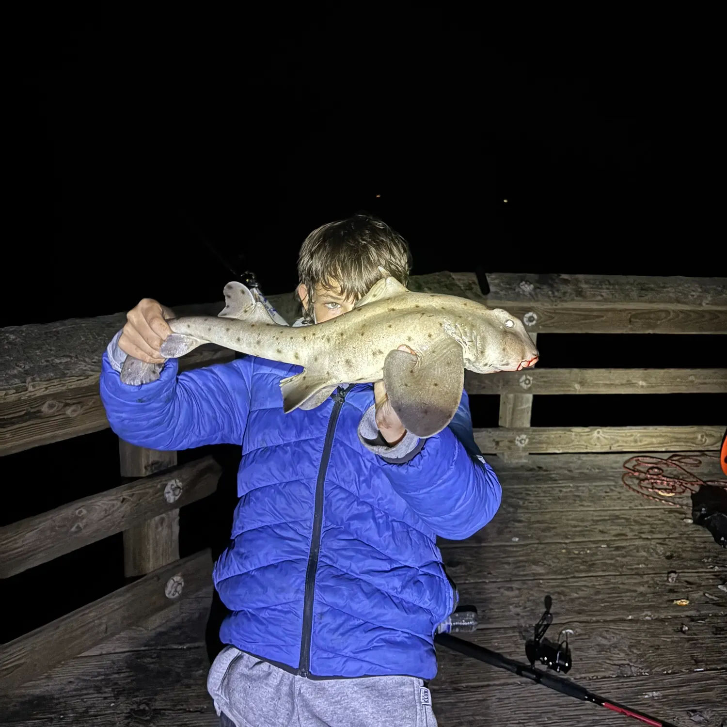 The most recent Horn shark catches on Fishbrain
