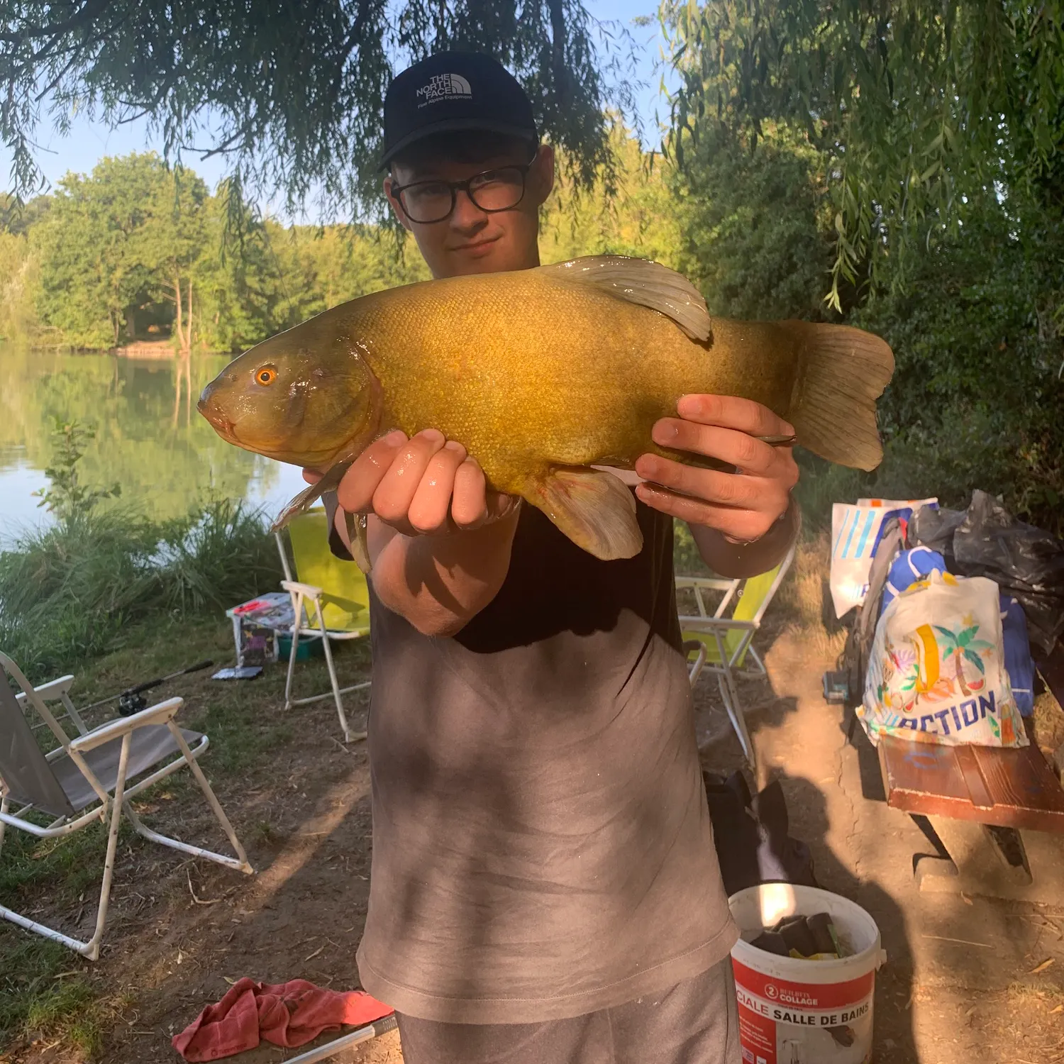 Tench caught on Fishbrain