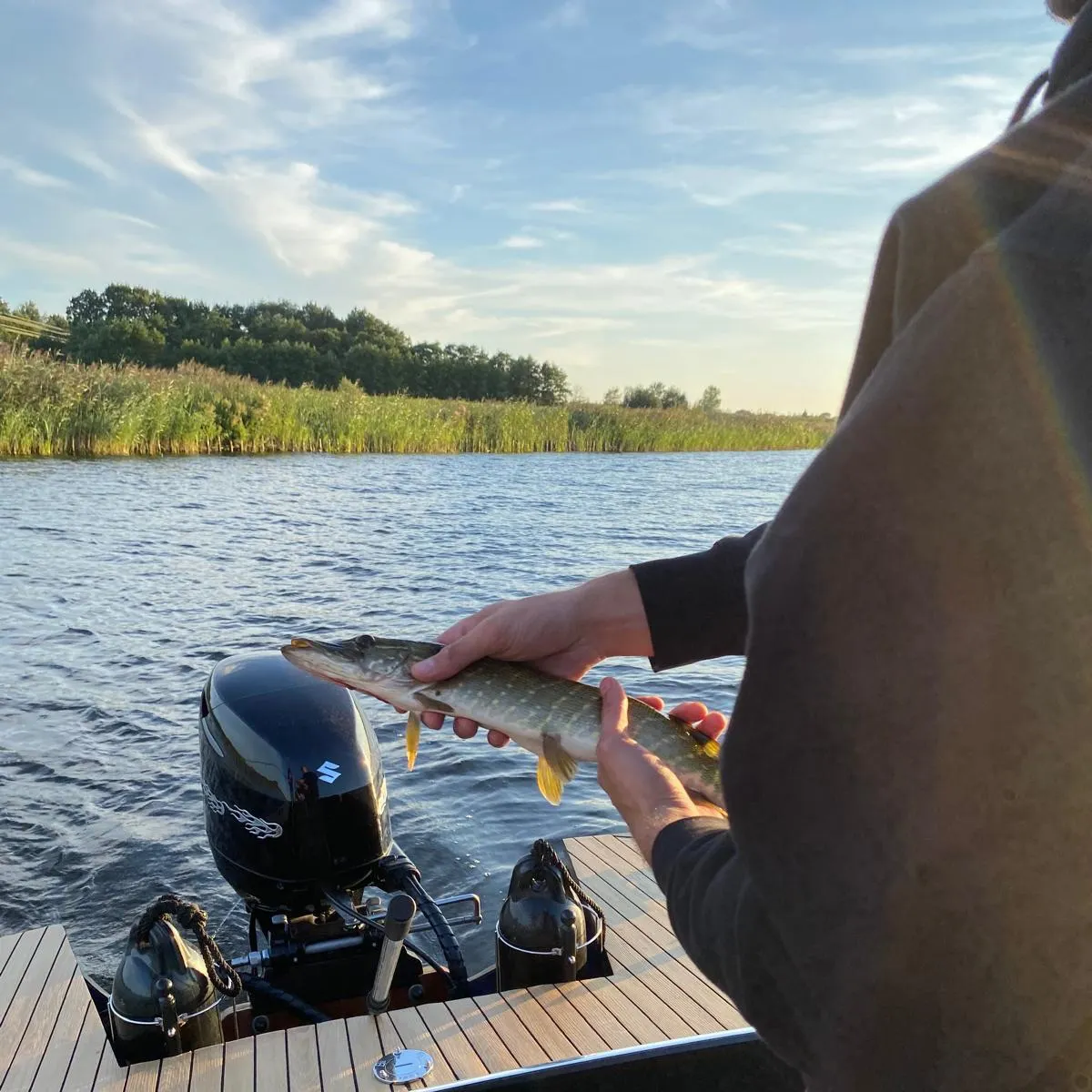 Northern pike caught on Fishbrain