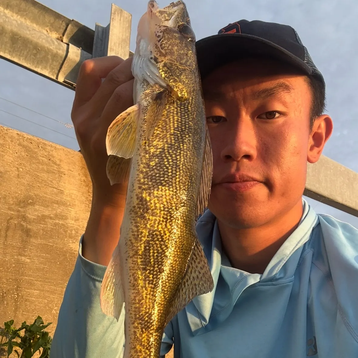 The most recent Saugeye catches on Fishbrain