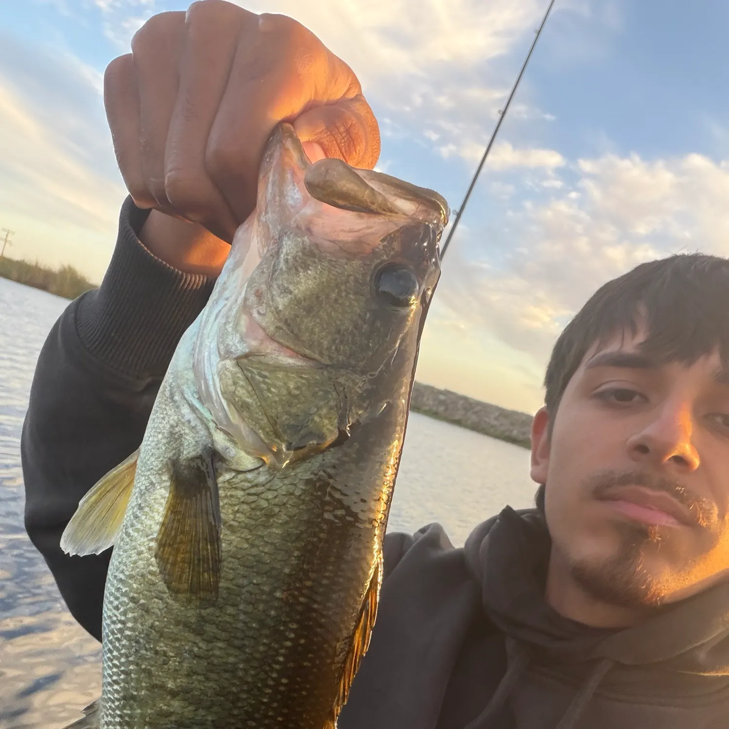 Largemouth bass caught on Fishbrain