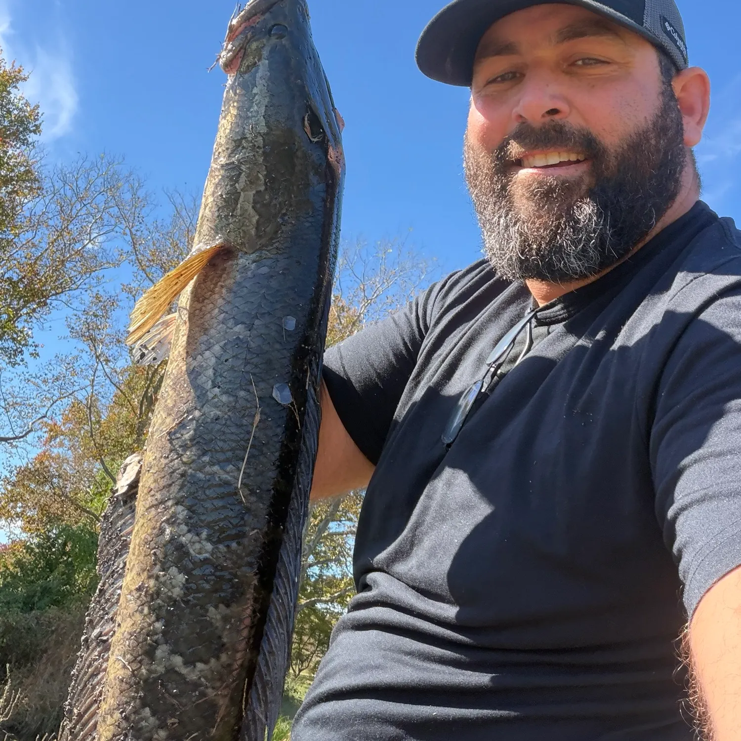 Fish caught on Fishbrain