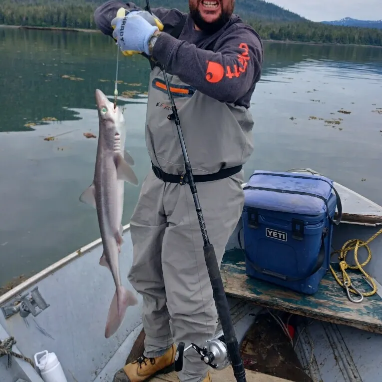 angler catch