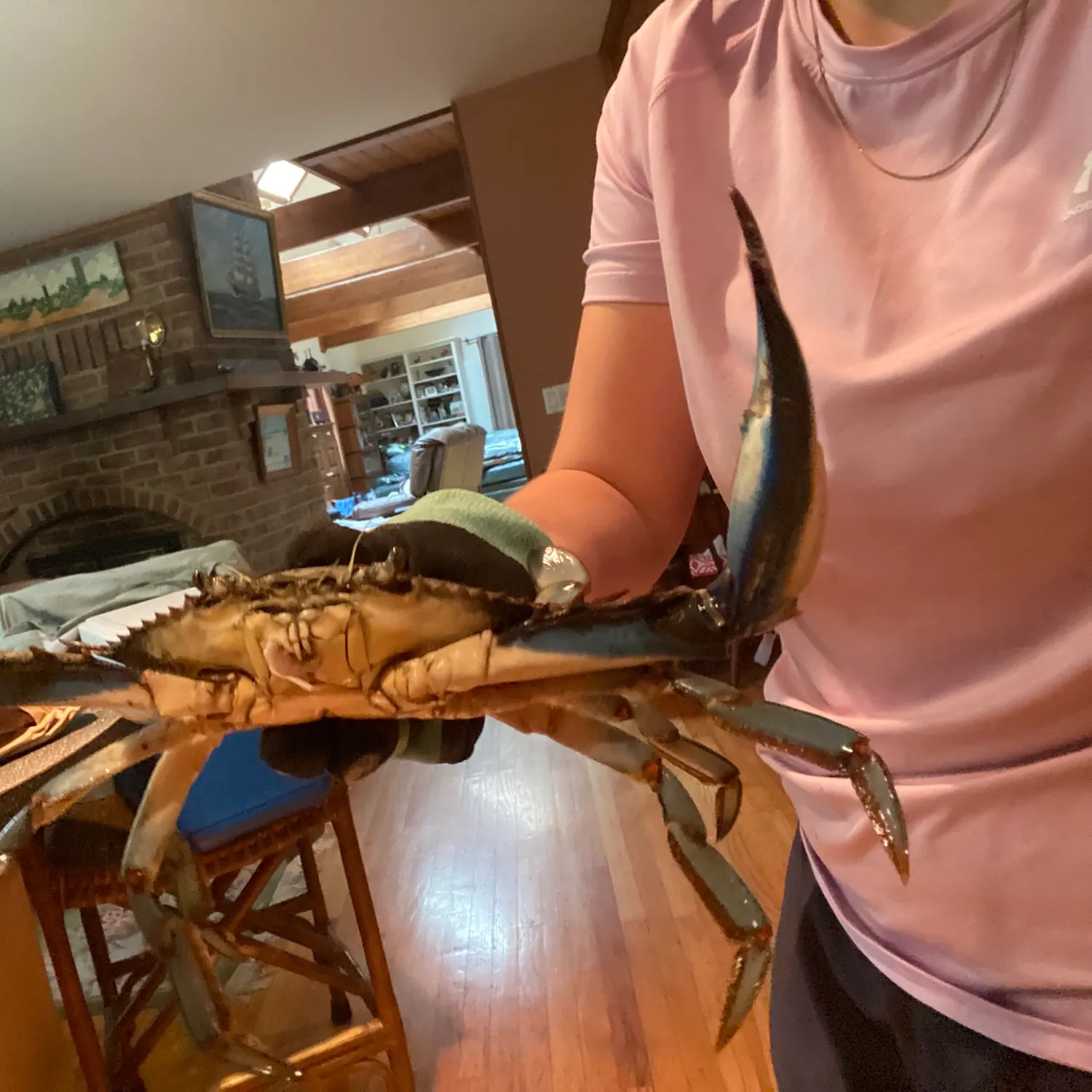 The most recent Blue crab catches on Fishbrain