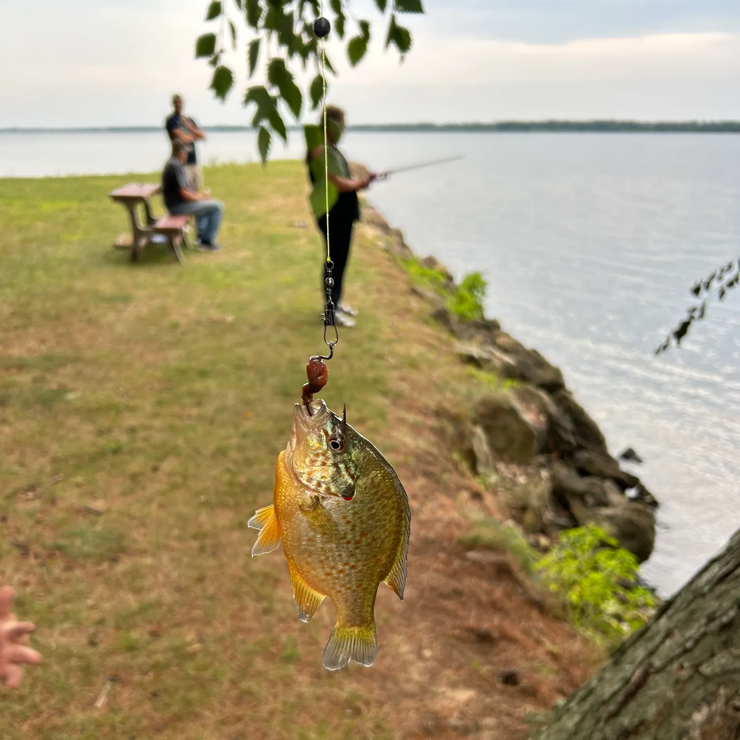 catch