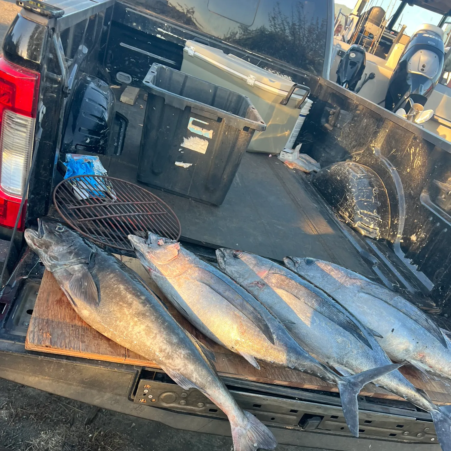 Albacore caught on Fishbrain